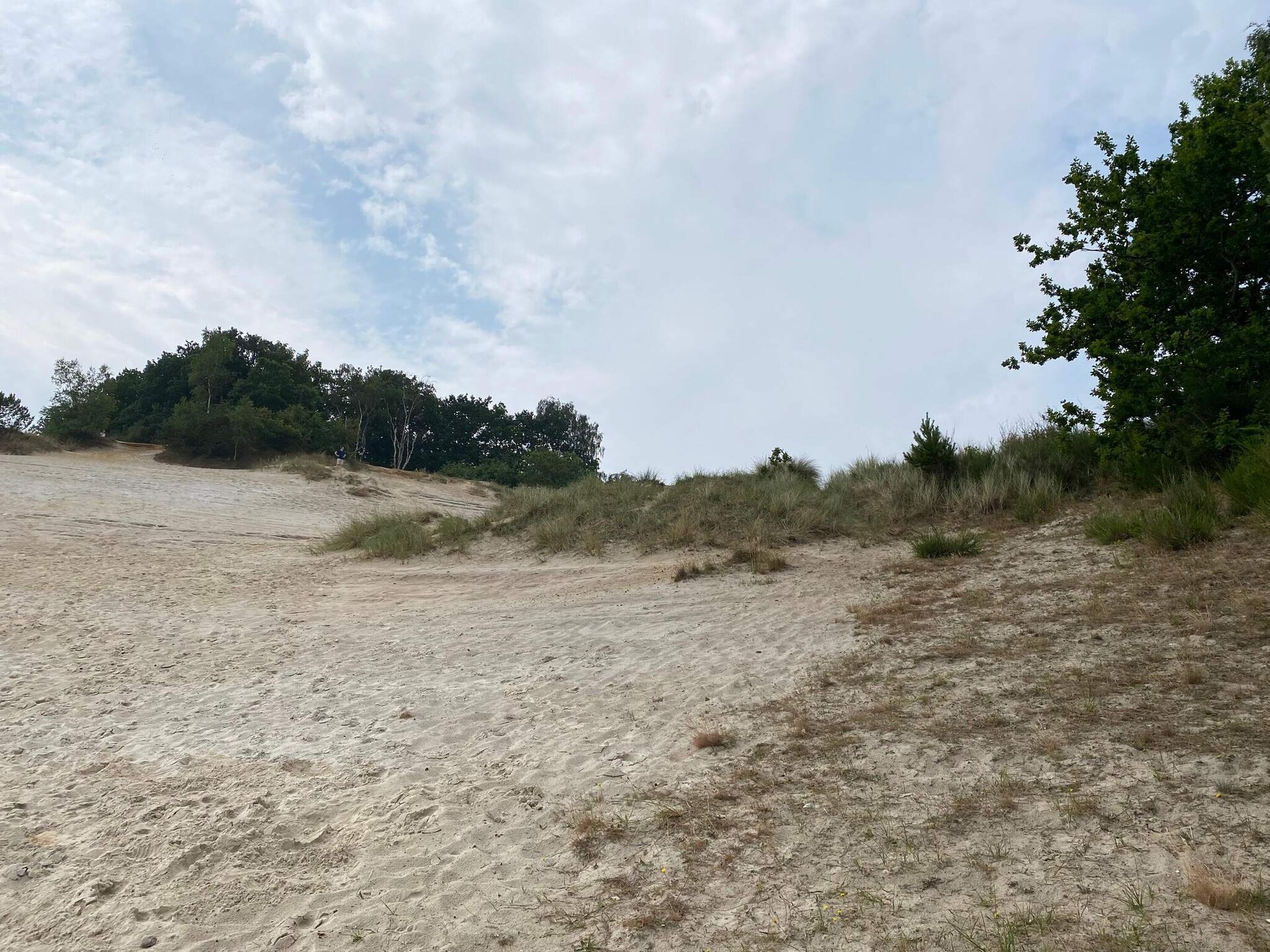Vrijstaand vakantiehuis op 100m van zee met weids uitzicht bij Børkop - foto 3