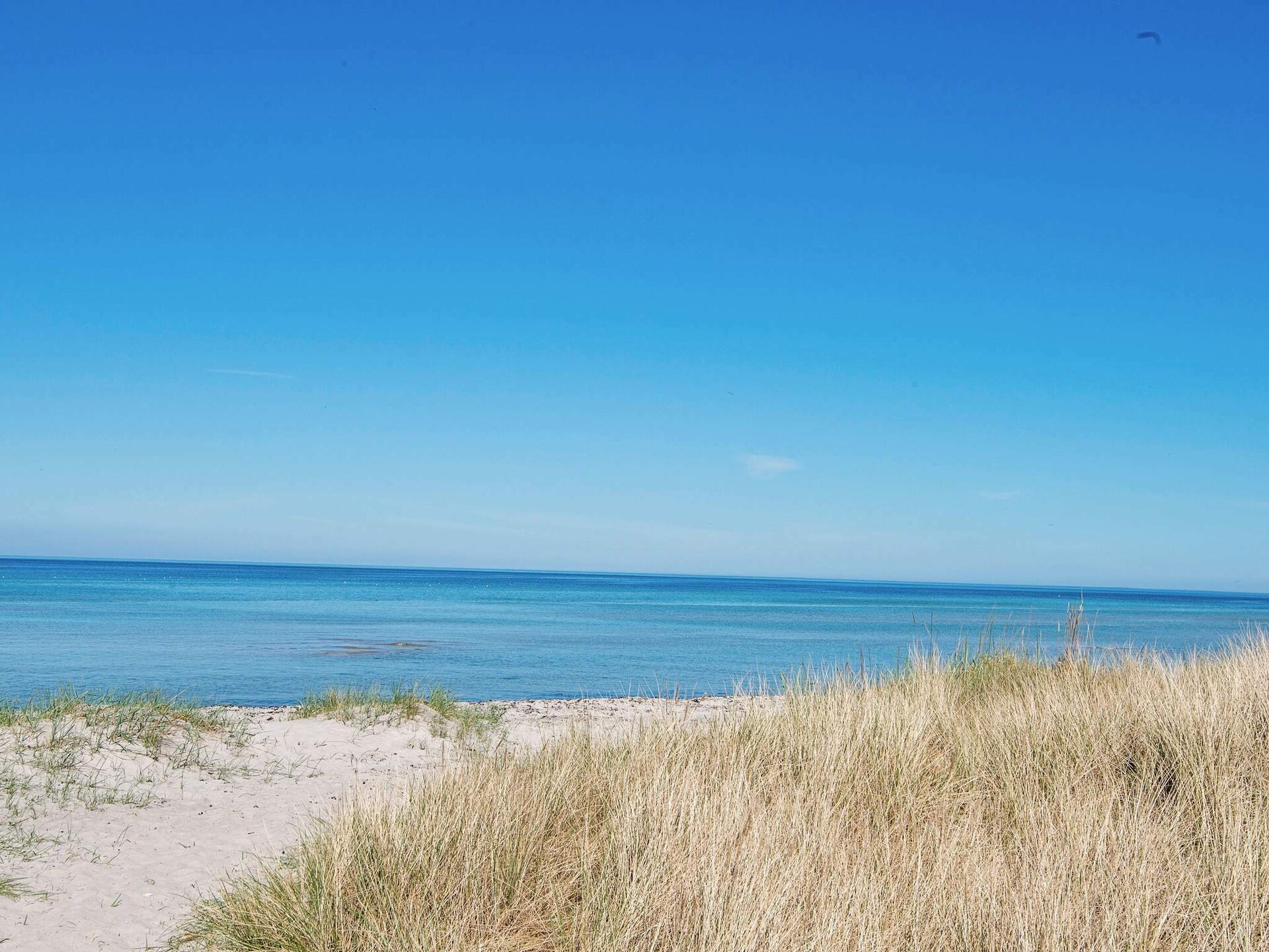 Licht vakantiehuis op 130 meter van het strand in Glesborg - foto 30