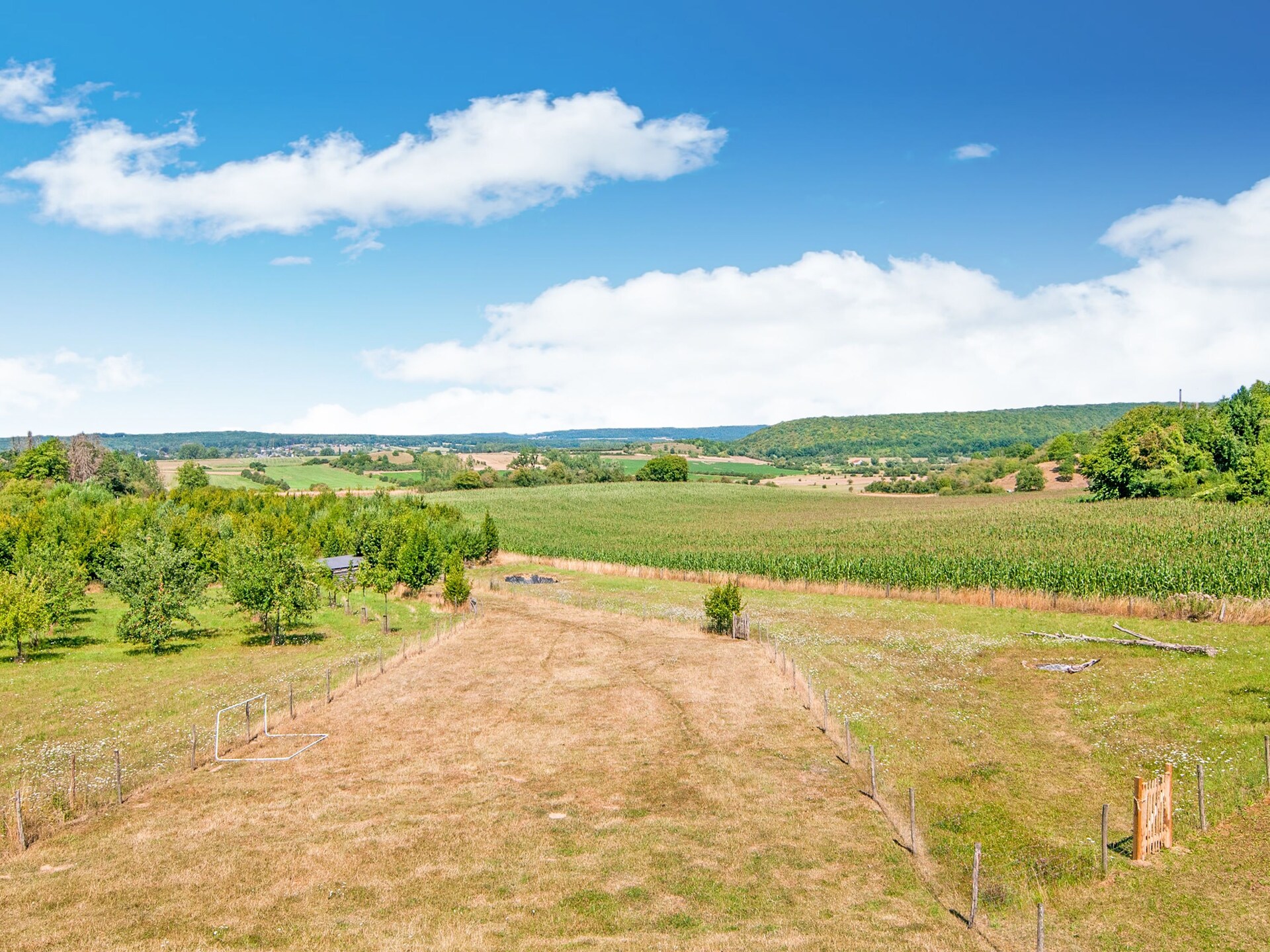 Vrijstaand vakantiehuis met panoramisch uitzicht in de bossen van Viroinval - foto 32