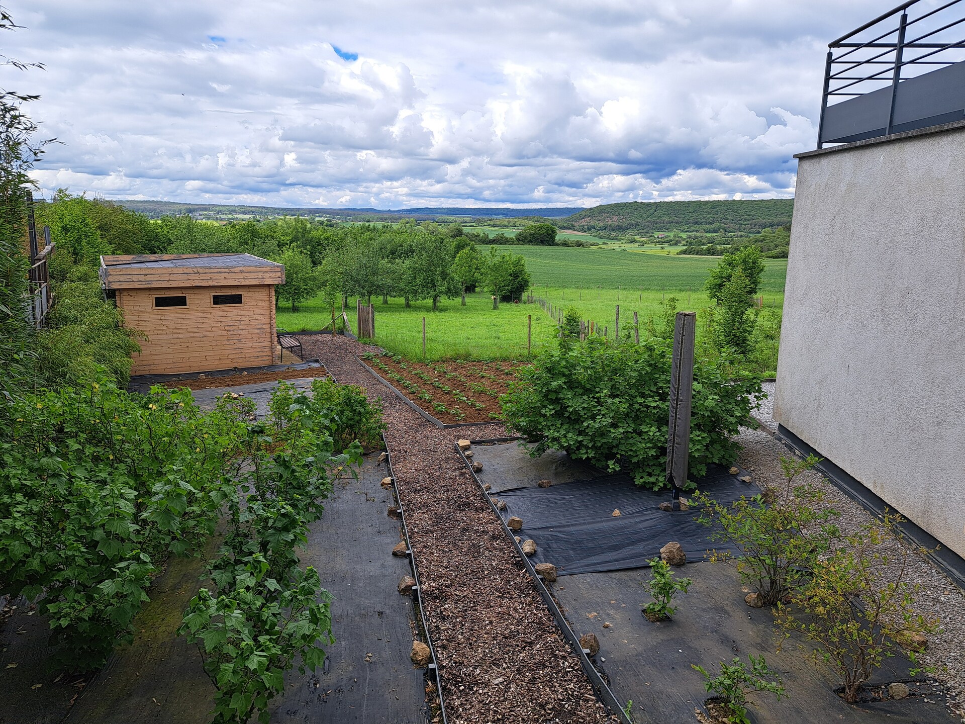 Vrijstaand vakantiehuis met panoramisch uitzicht in de bossen van Viroinval - foto 36