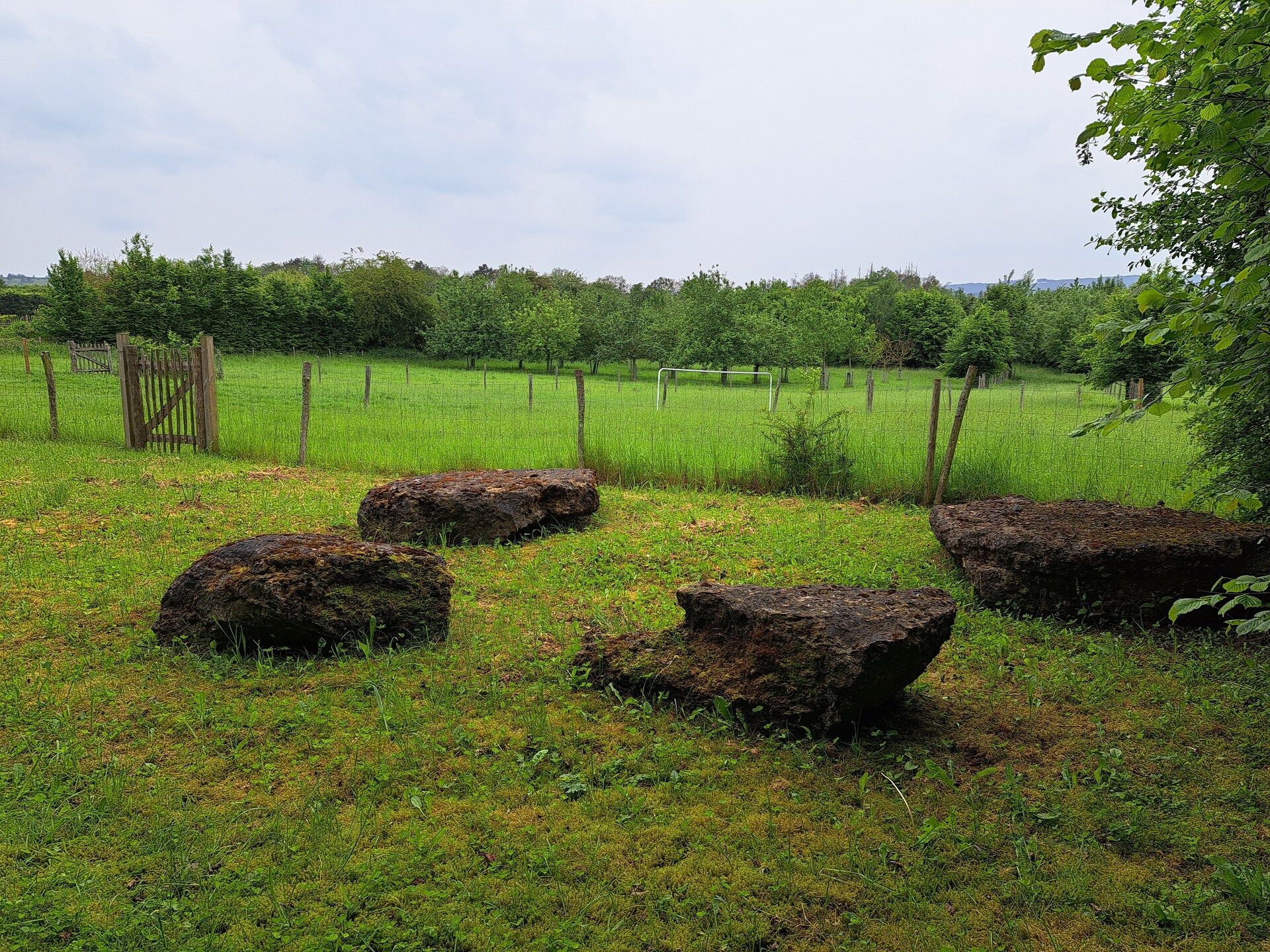 Vrijstaand vakantiehuis met panoramisch uitzicht in de bossen van Viroinval - foto 35