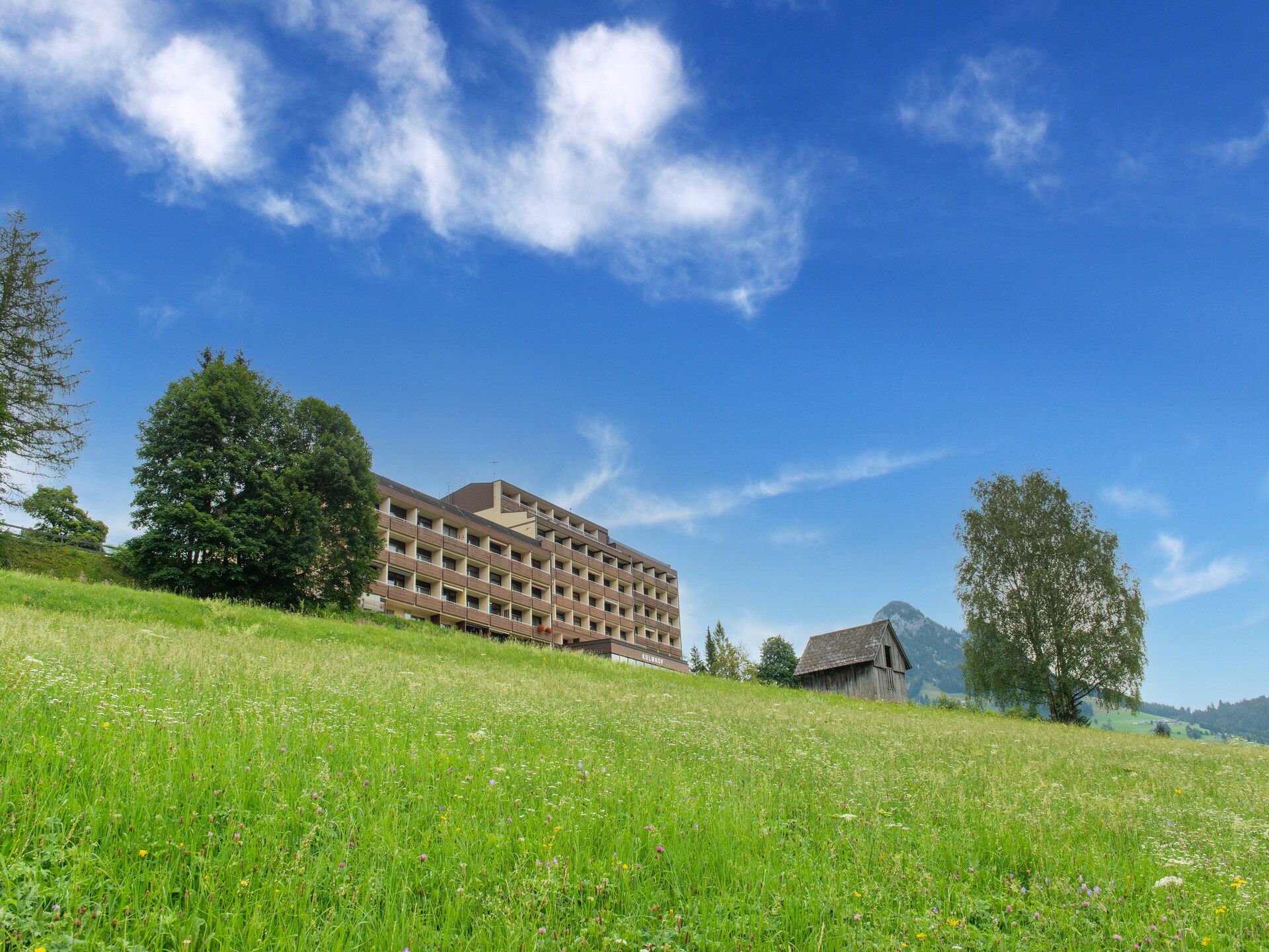 Modern appartement Tauplitz met wellness, terras en skilift op 700m - foto 6