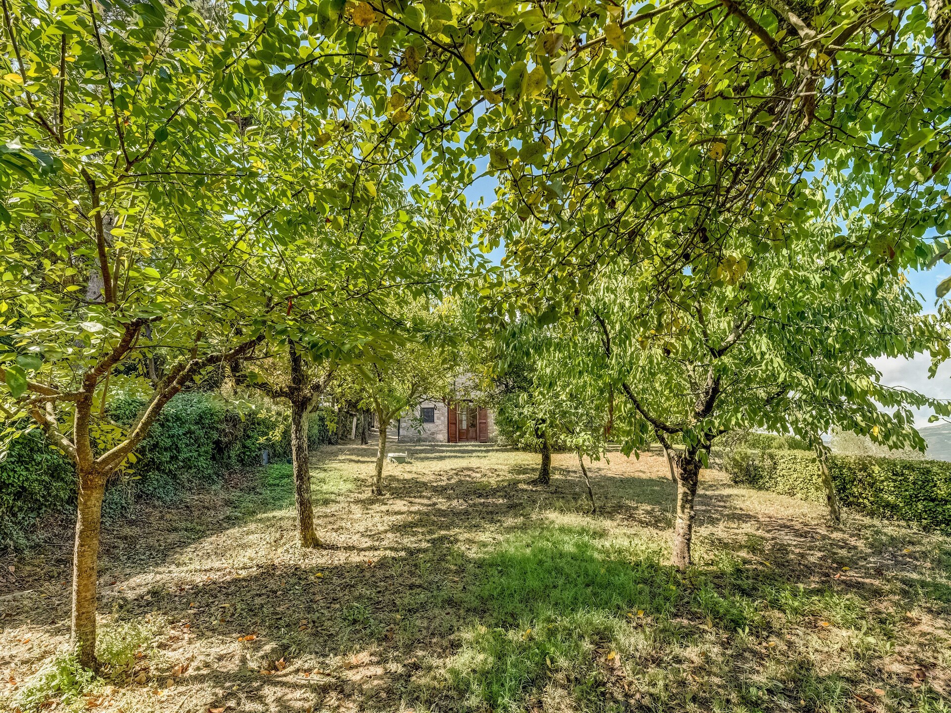 Sfeervolle villa met privézwembad en uitzicht op de Toscaanse heuvels - foto 28