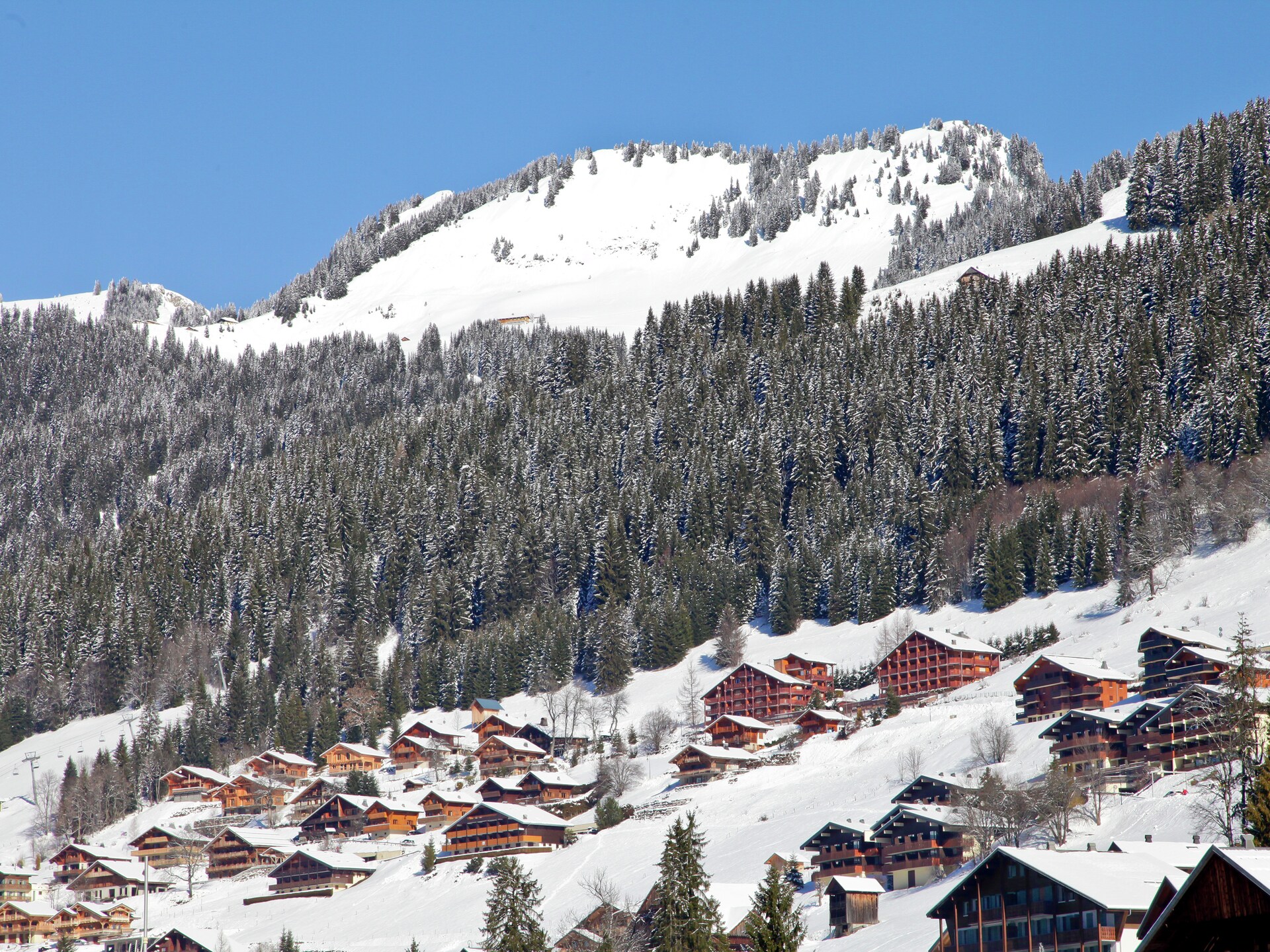 Appartement 6p in Châtel, direct aan de piste van Les Portes du Soleil - foto 27