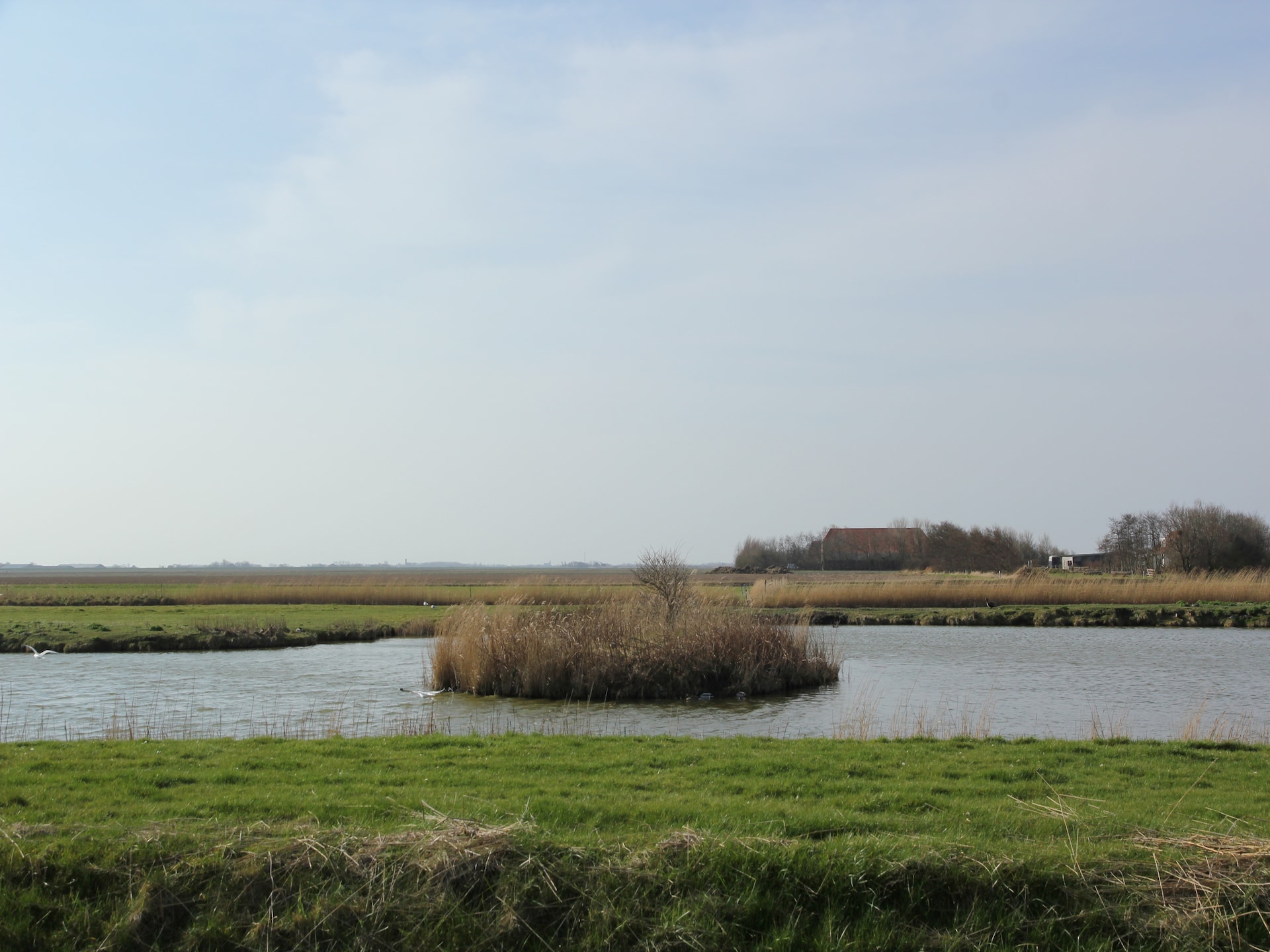 Villa Hoogeland 106L: Luxe villa aan bosrand van De Dennen op Texel - foto 21