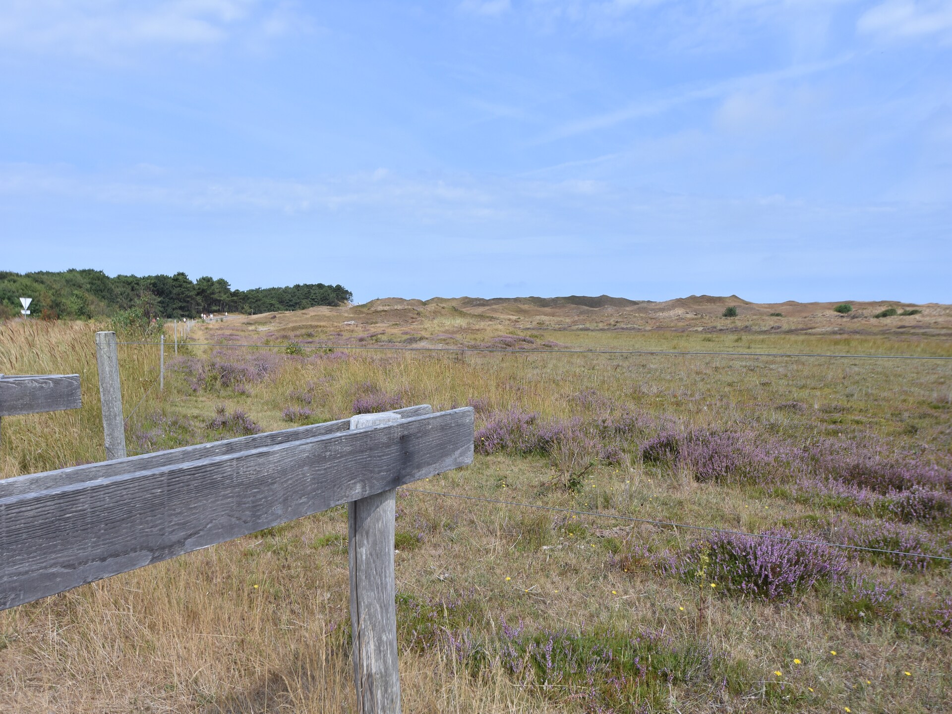 Luxe villa met privacy op 't Hoogelandt, dichtbij bos en strand - foto 27
