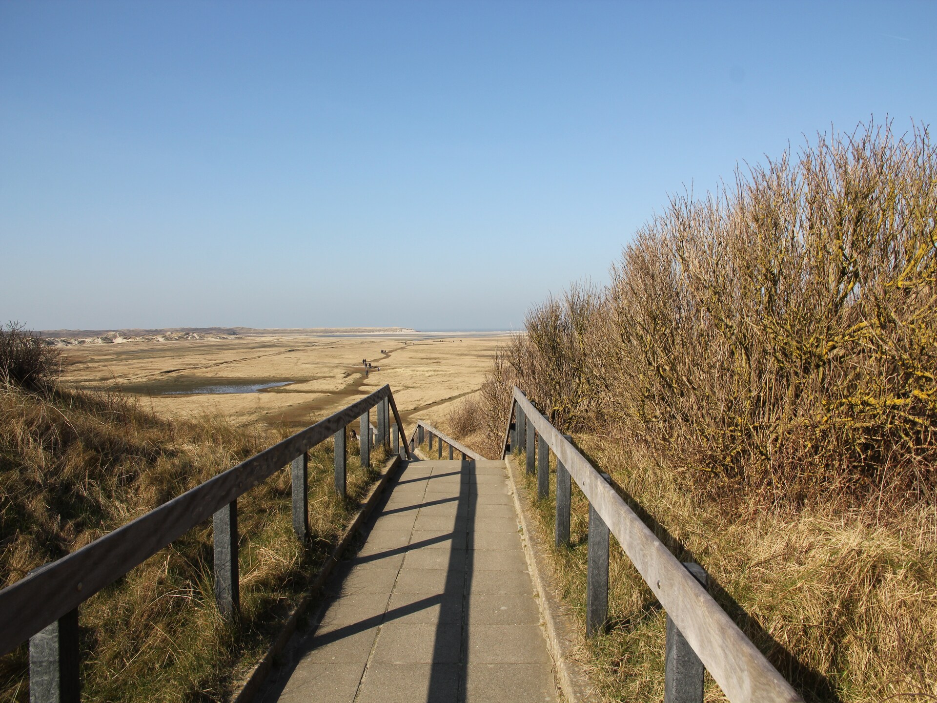 Luxe villa met privacy op 't Hoogelandt, dichtbij bos en strand - foto 24