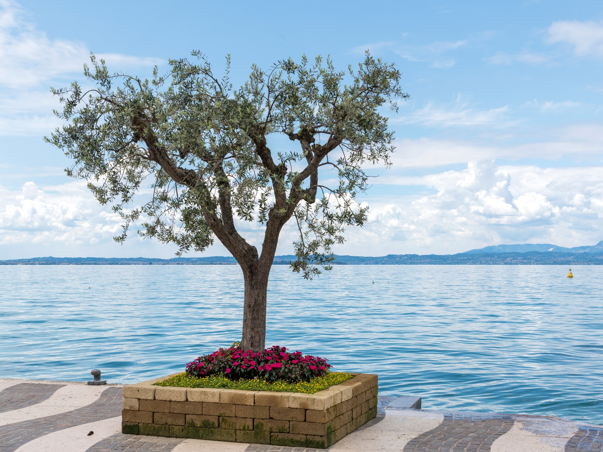 Zonnig appartement met balkon en zicht op het Gardameer in Lazise - foto 32