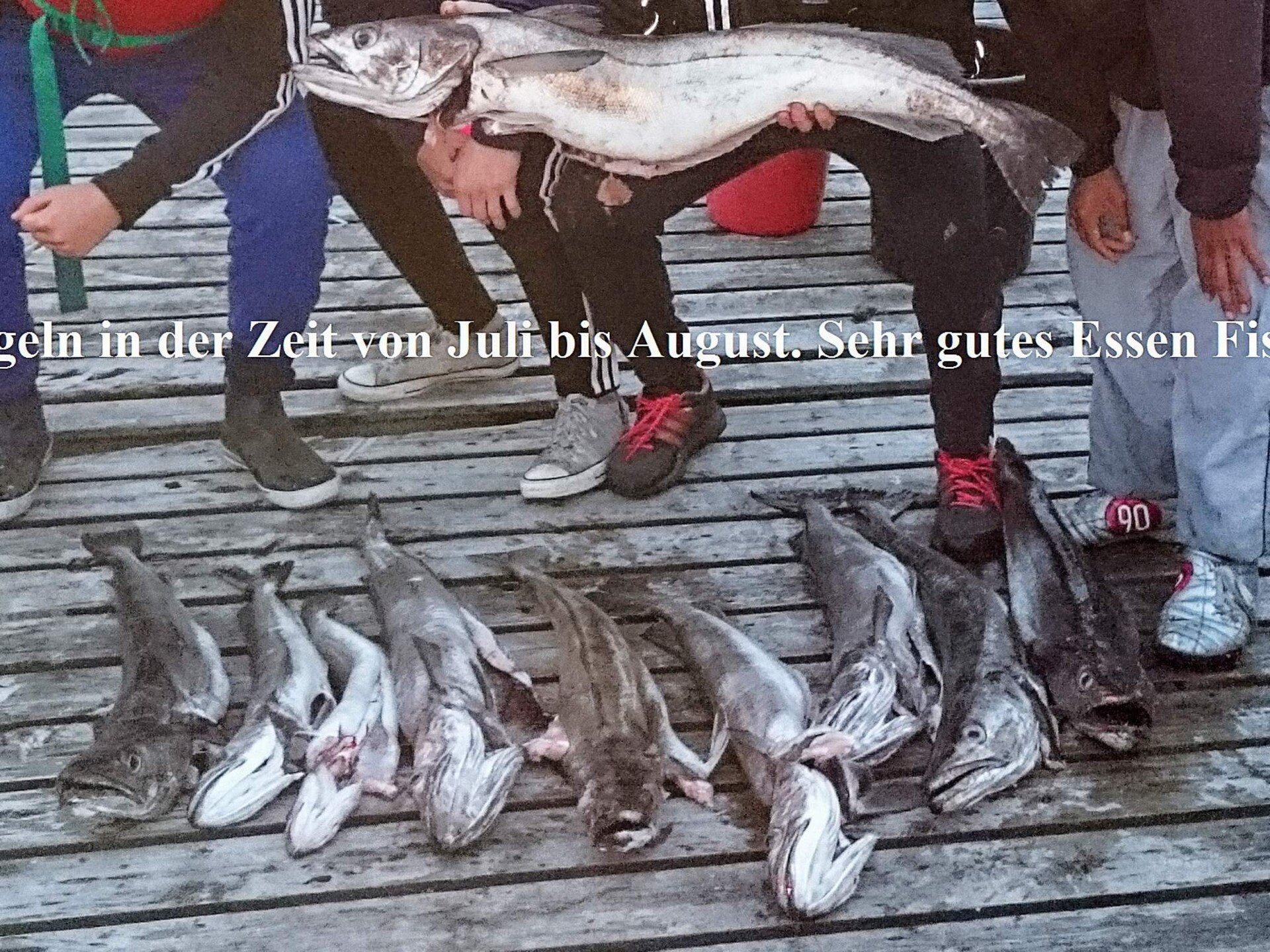 Licht vakantiehuis in Rorbu-stijl direct aan het water bij Brattvåg - foto 37