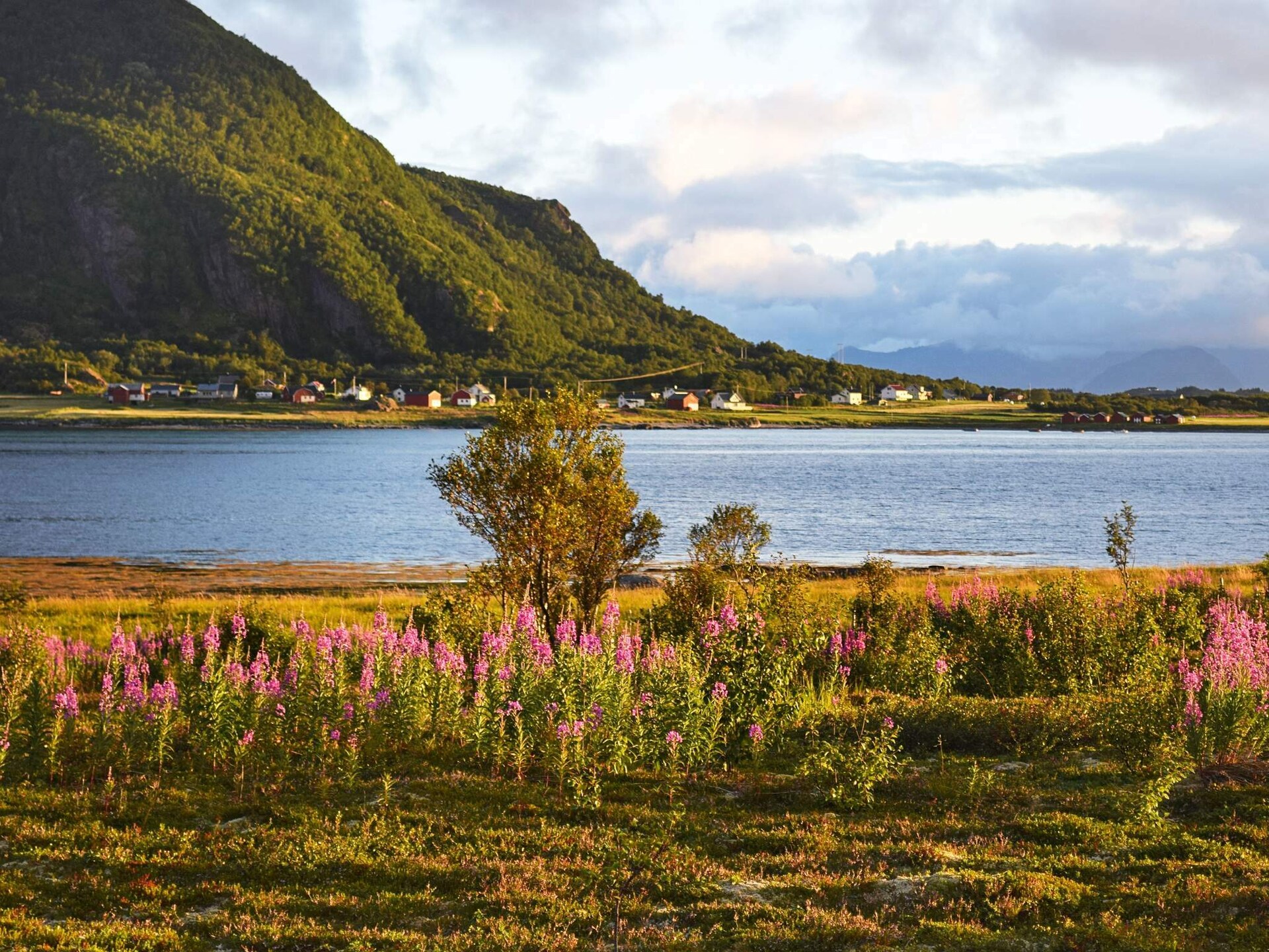 Ruim vakantiehuis met panoramisch uitzicht op zee en de Lofoten - foto 37