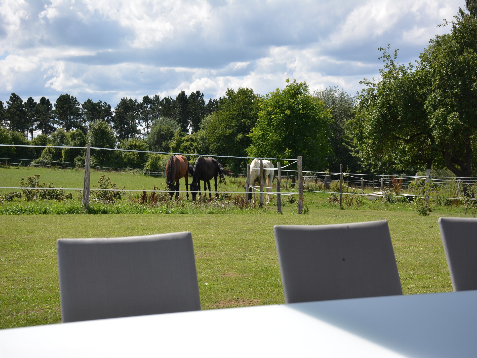 9-persoonsvilla met houtkachel en tuin in Wavreille - foto 32