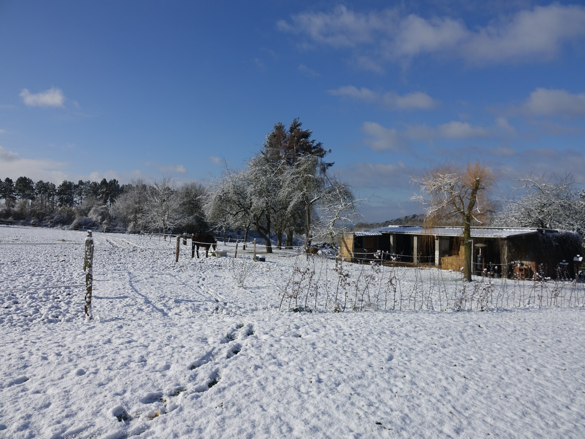9-persoonsvilla met houtkachel en tuin in Wavreille - foto 39
