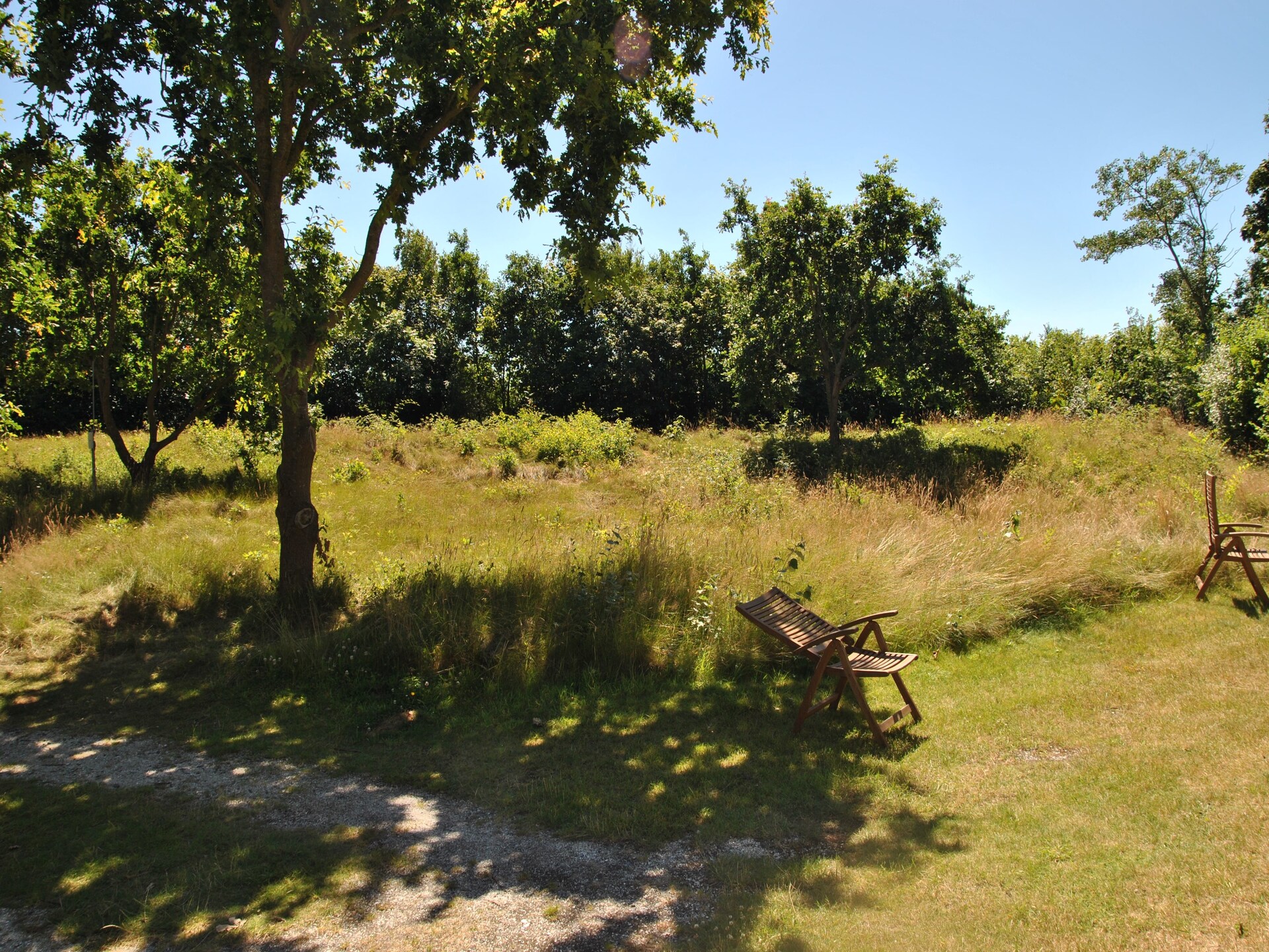 Landhuis De Kerkuil: luxe vakantievilla in het bos van De Cocksdorp - foto 21