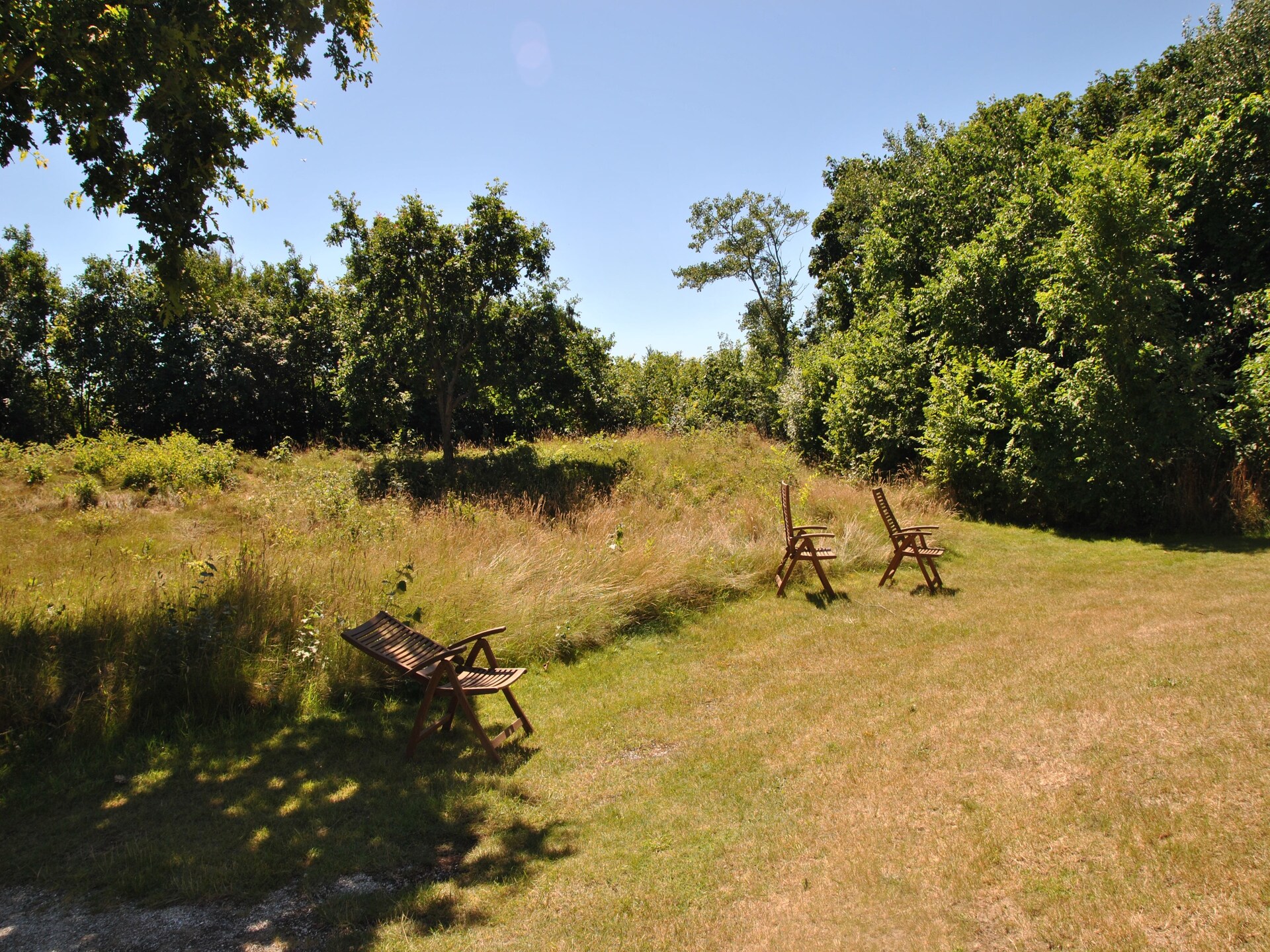 Landhuis De Kerkuil: luxe vakantievilla in het bos van De Cocksdorp - foto 16