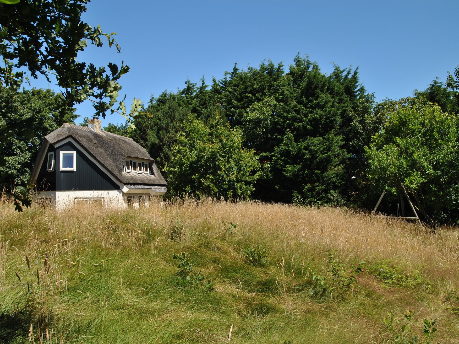 Landhuis De Kerkuil: luxe vakantievilla in het bos van De Cocksdorp - foto 9