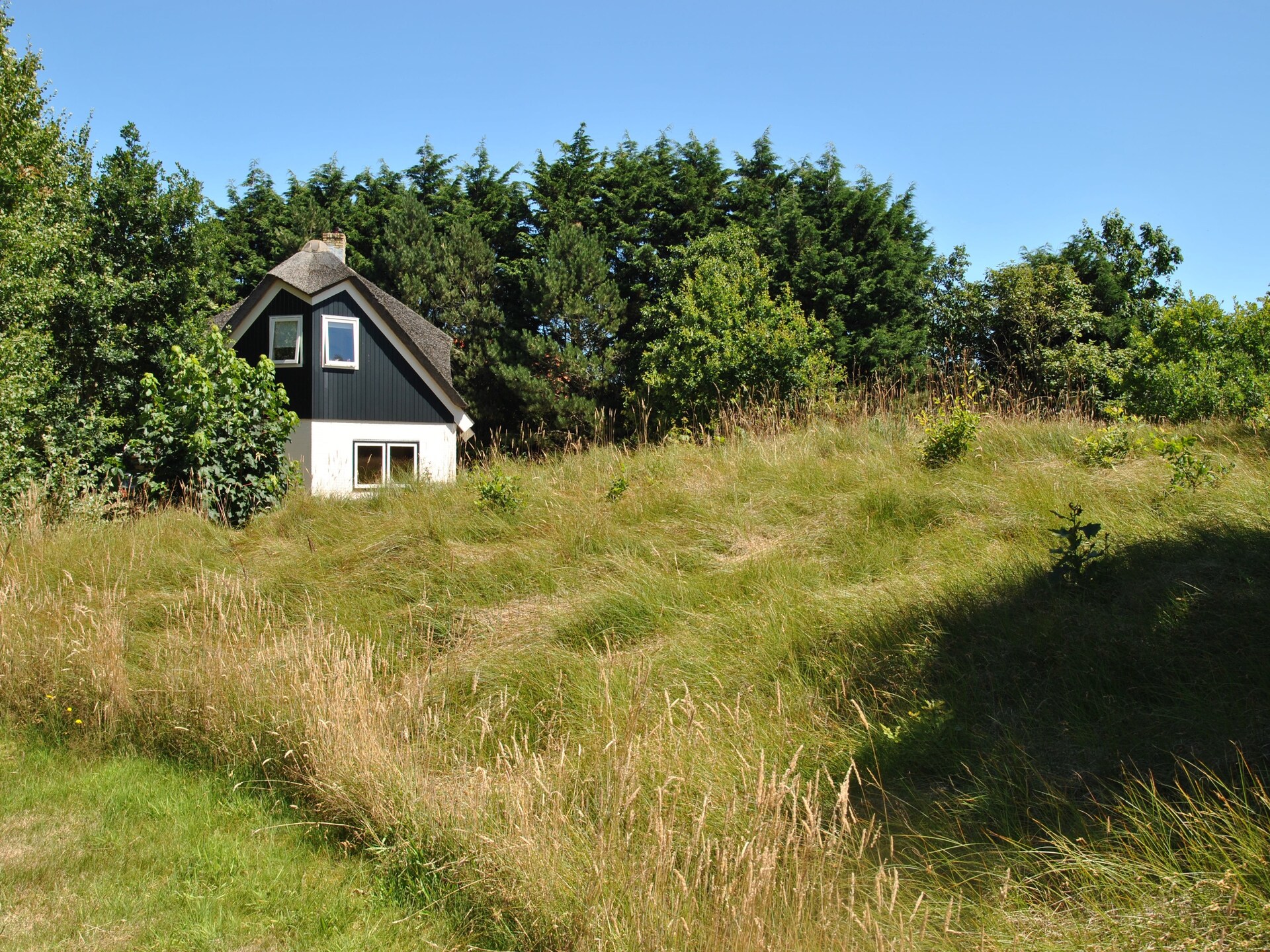 Landhuis De Kerkuil: luxe vakantievilla in het bos van De Cocksdorp - foto 11