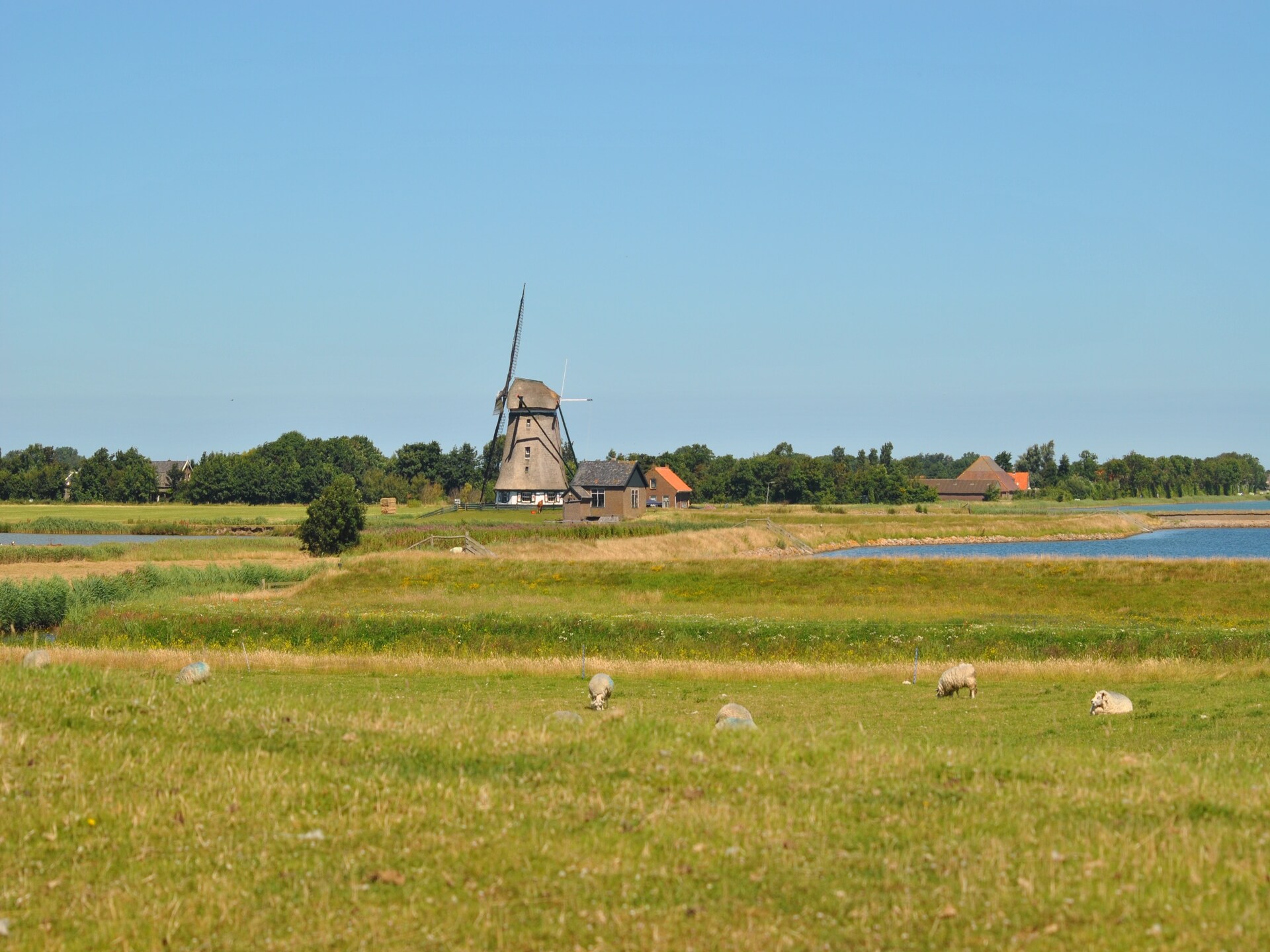 Landelijk vakantiehuis Florijn 1: genieten tussen bos en golfbaan op Texel - foto 17