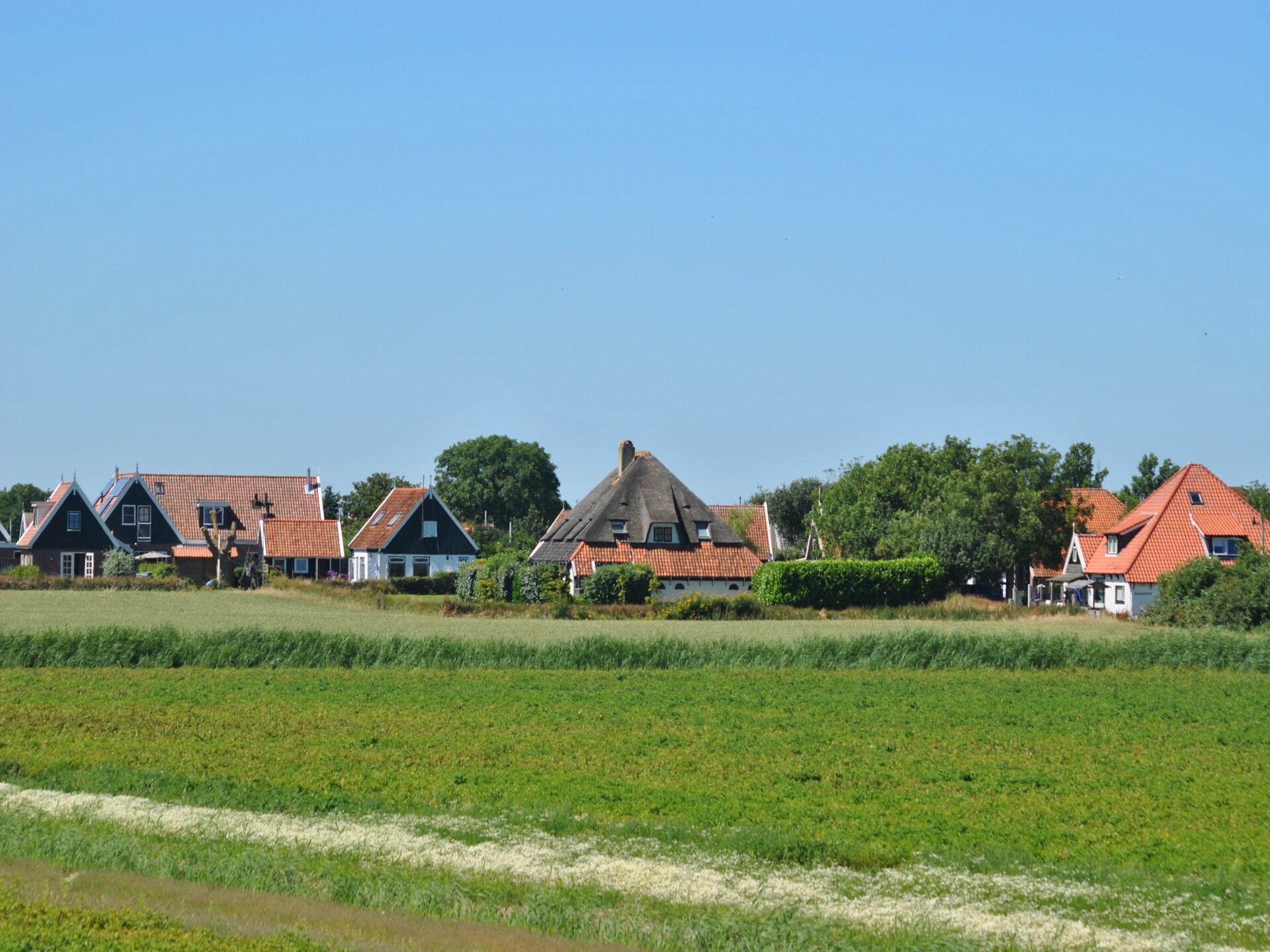 Landelijk vakantiehuis Florijn 1: genieten tussen bos en golfbaan op Texel - foto 20
