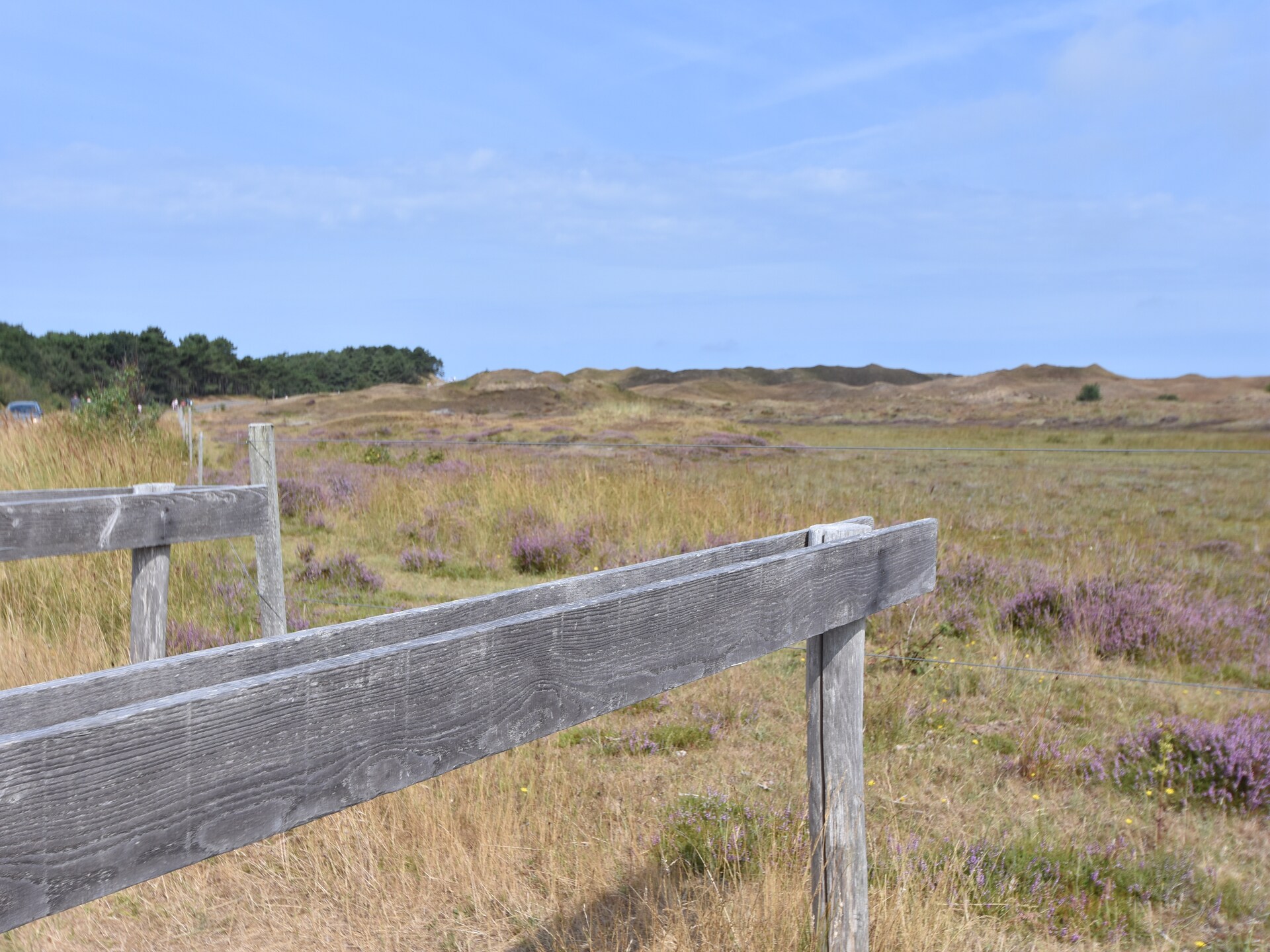 Landelijk vakantiehuis Florijn 1: genieten tussen bos en golfbaan op Texel - foto 19