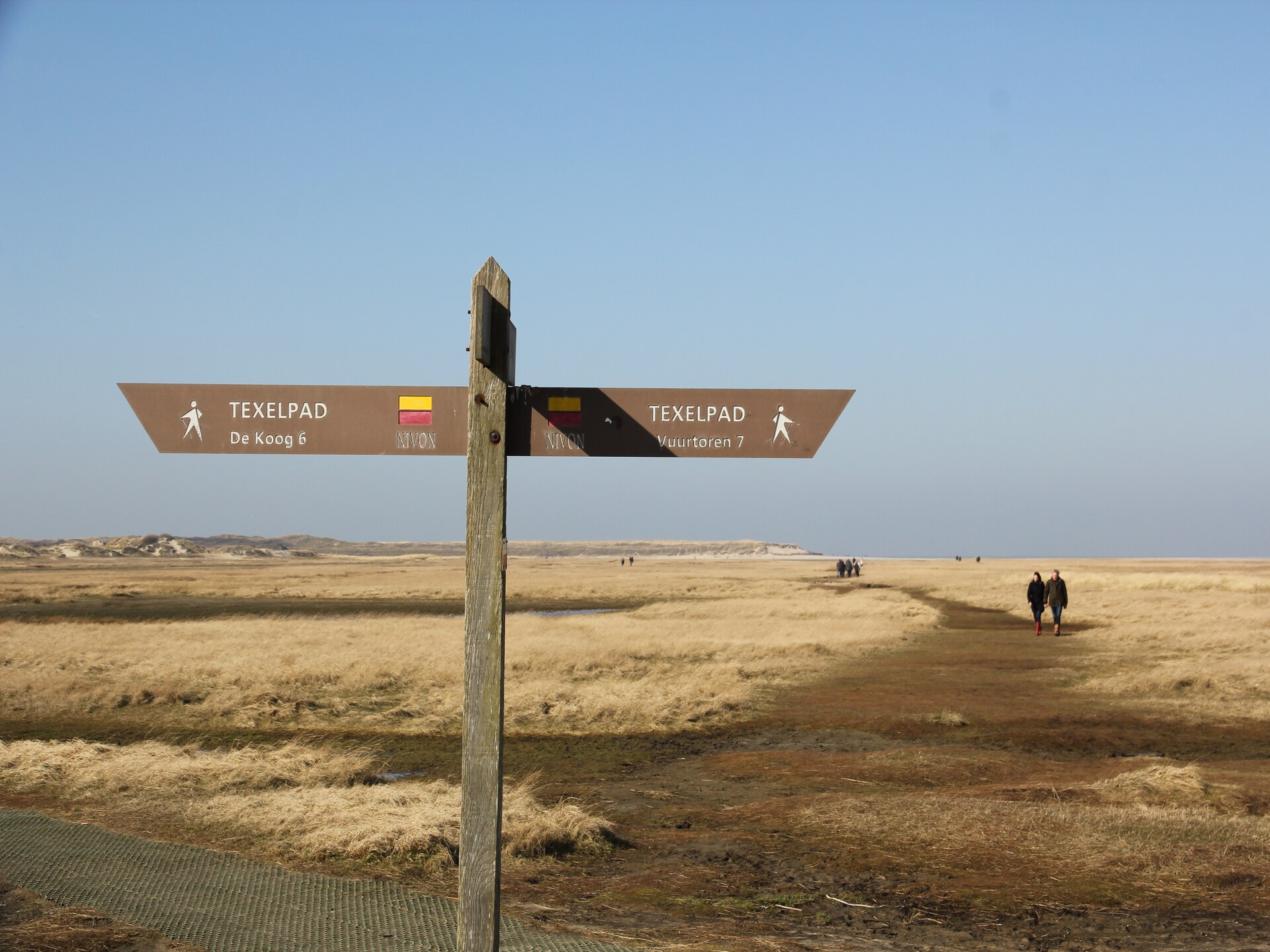 Florijn 3: Gezellig vakantiehuis in het bos van Oost-Texel - foto 17