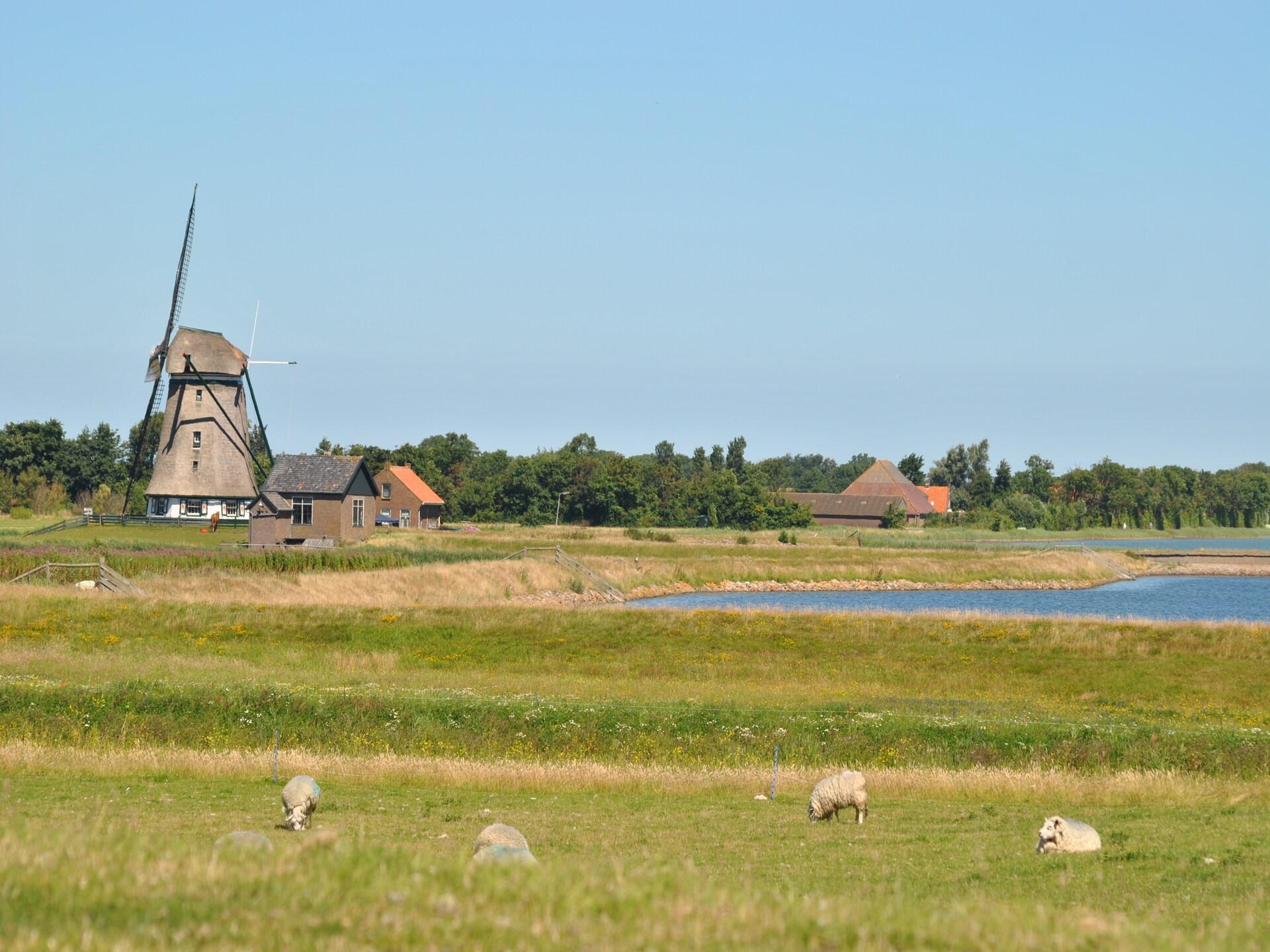 Florijn 3: Gezellig vakantiehuis in het bos van Oost-Texel - foto 12