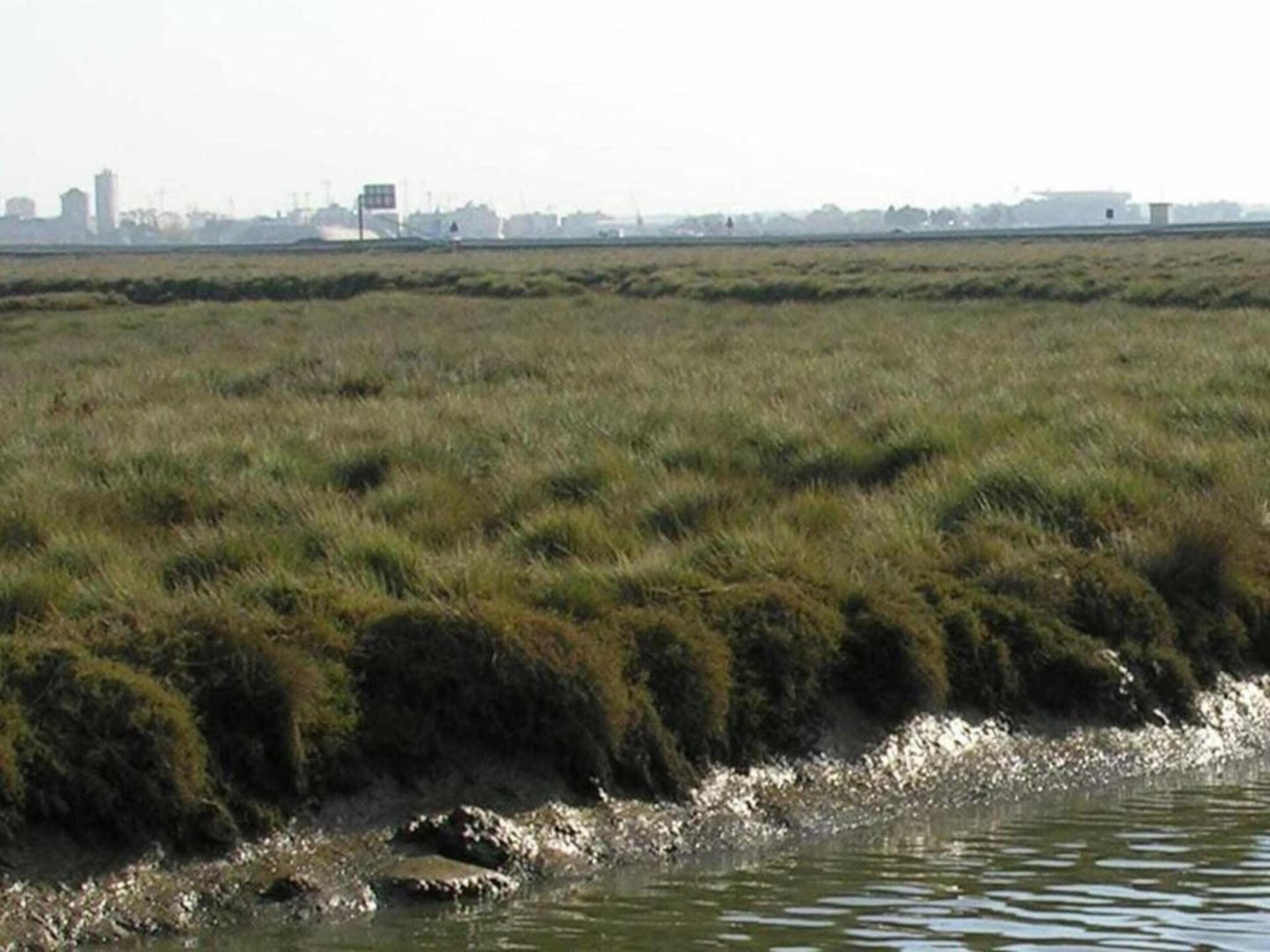 Dicht bij centrum L'Escala: vakantiehuis op 300m van het strand - foto 38