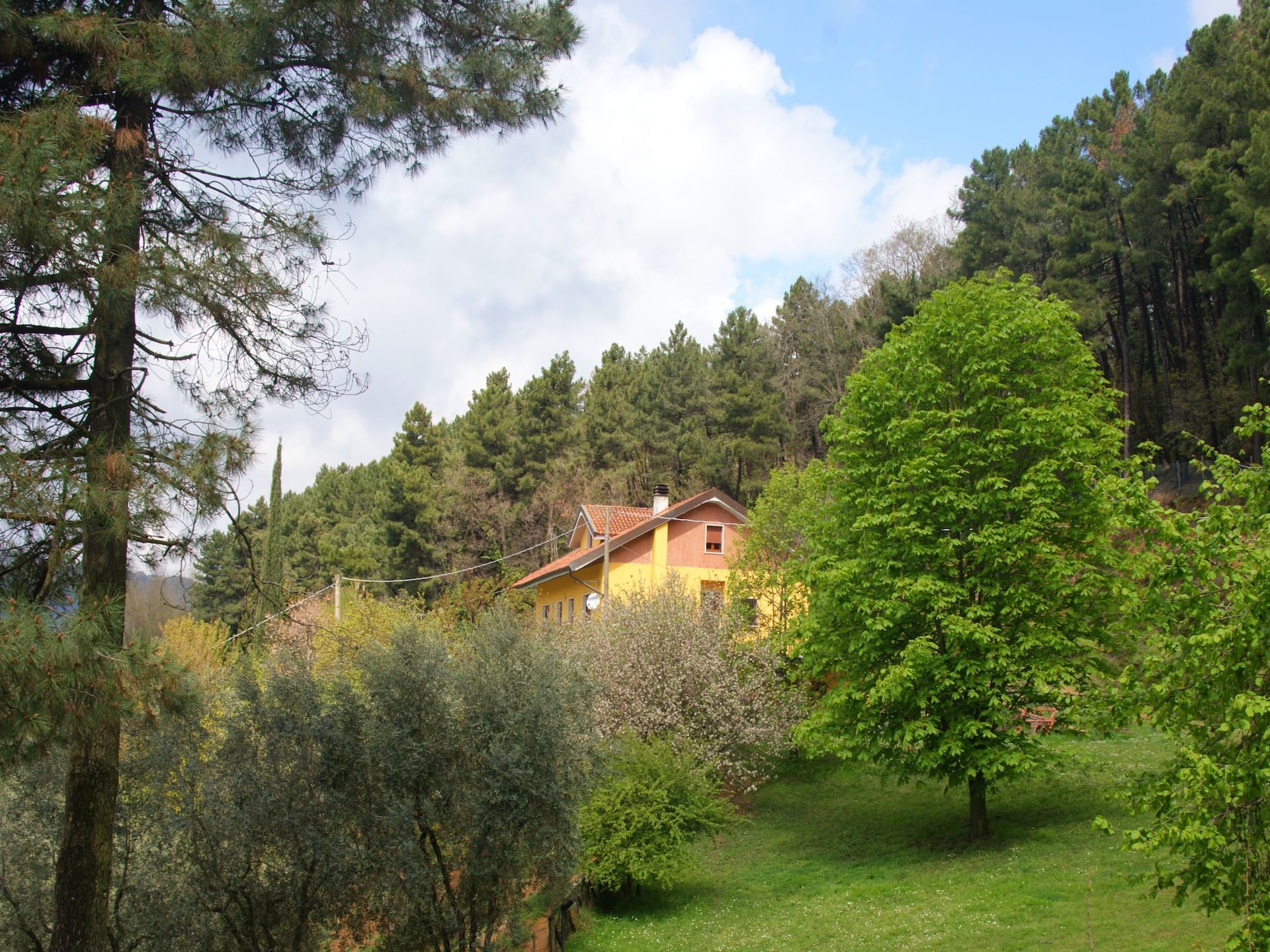 12-persoons vakantiehuis met privézwembad in Pescia - foto 4