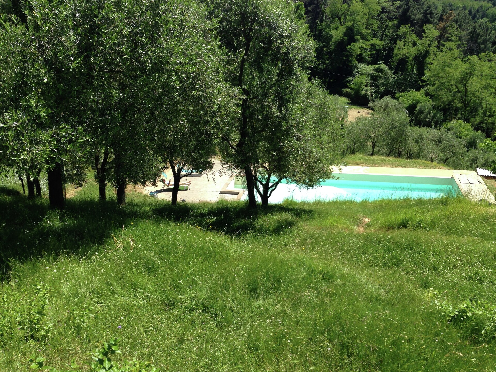 12-persoons vakantiehuis met privézwembad in Pescia - foto 8