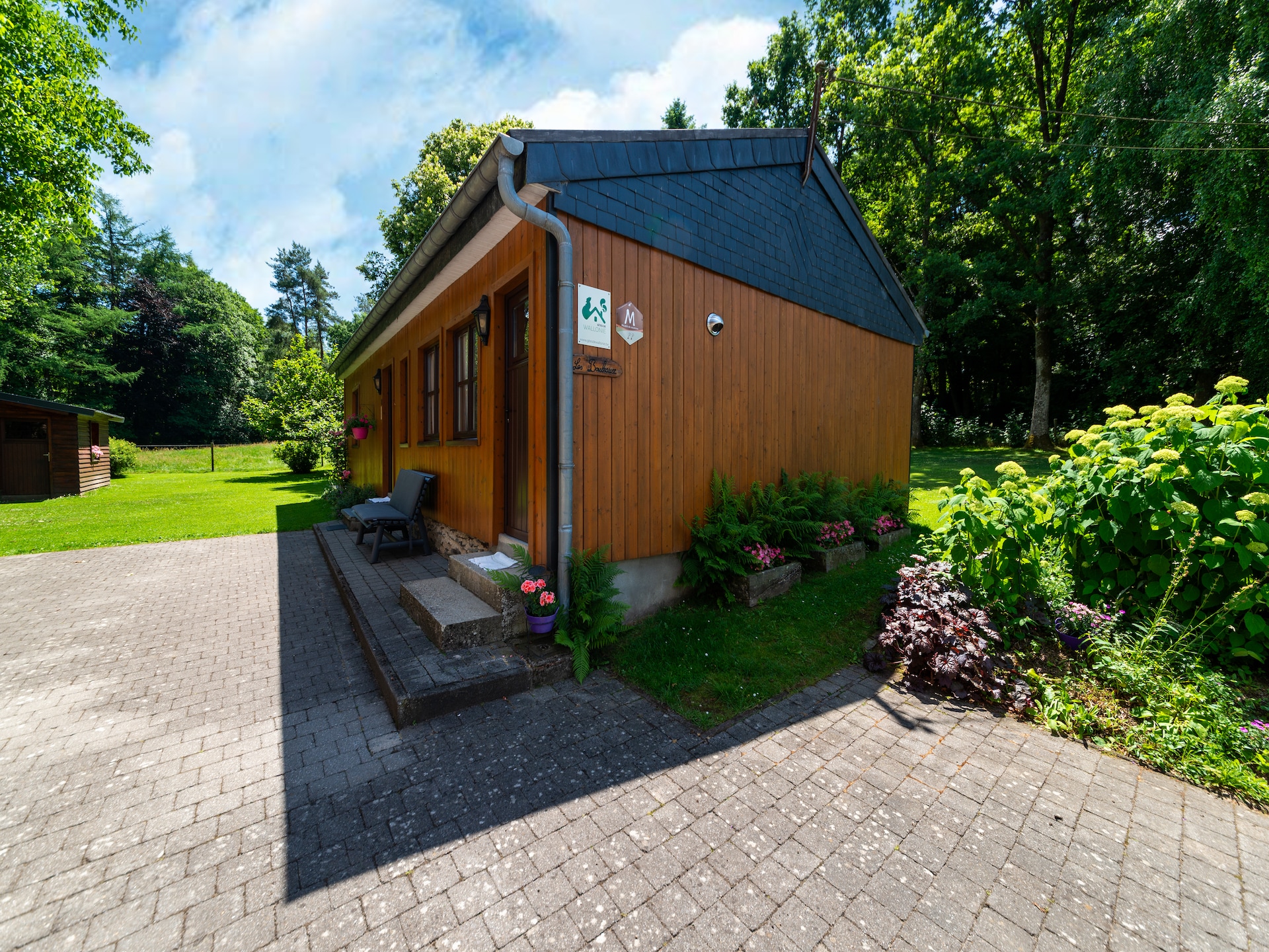 Gezellig chalet Les Bouleaux voor 5 personen in Vielsalm - foto 8