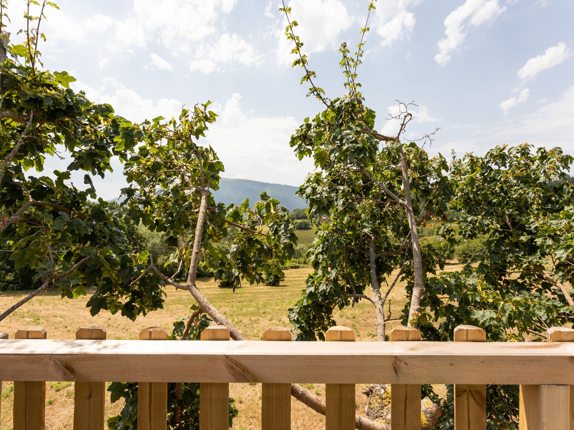 Sfeervol vakantiehuis bij Agriturismo Paradiso Paola in Assisi - foto 30