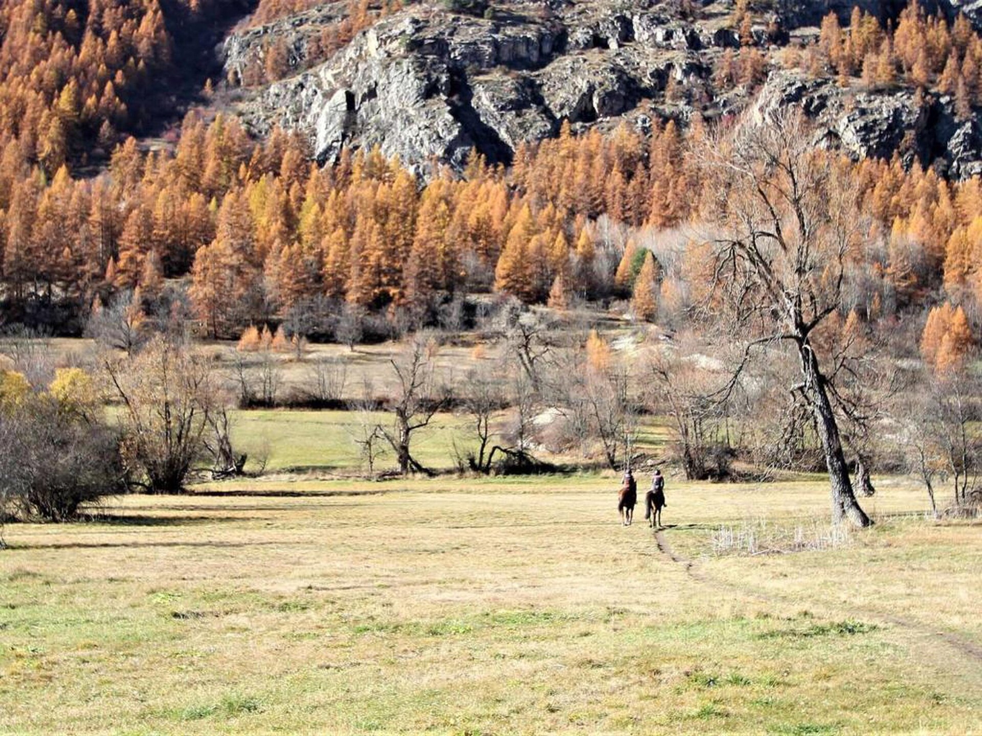 Stijlvol appartement in La Salle les Alpes met zwembad, hondvriendelijk - foto 26