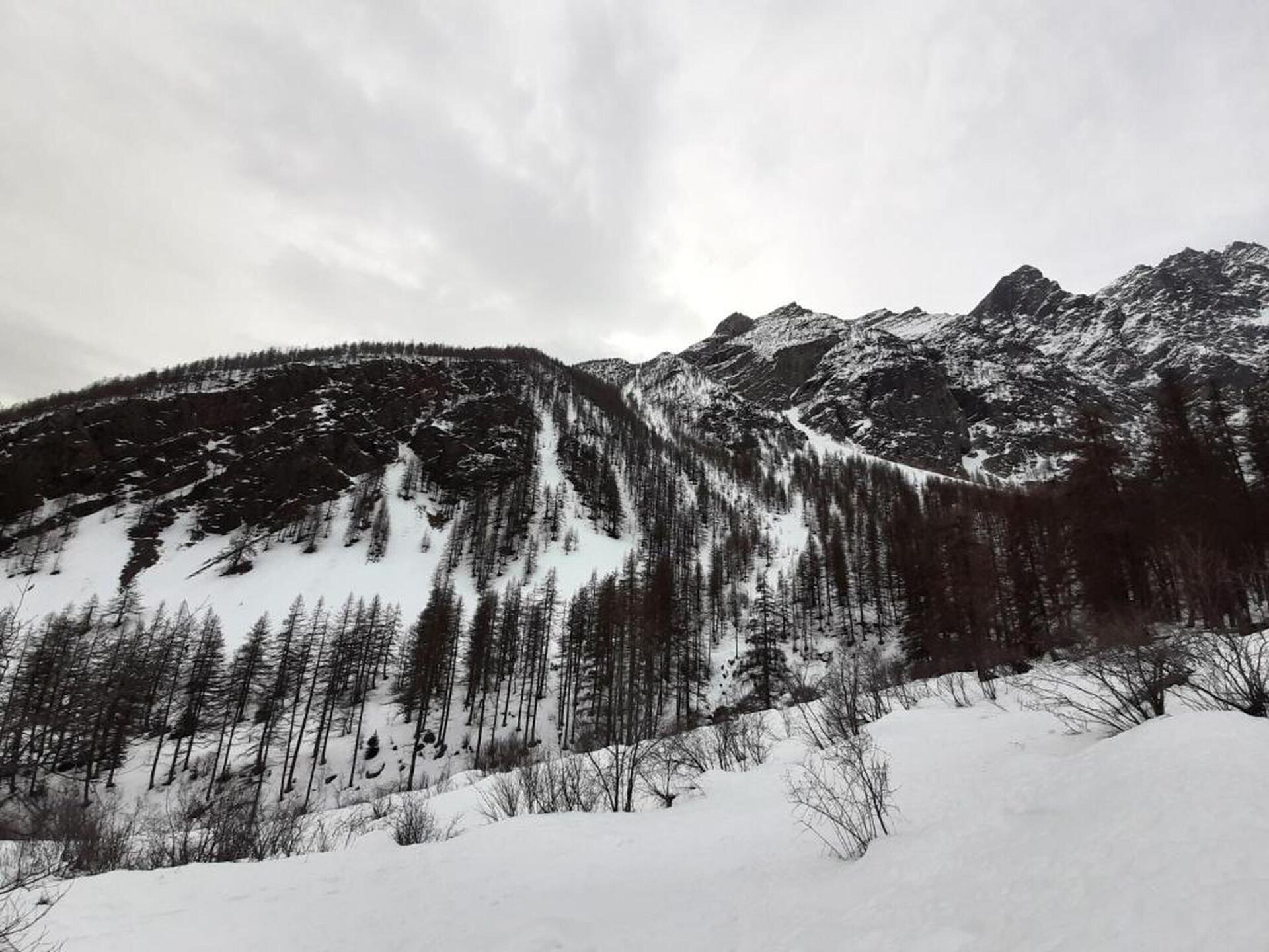 Stijlvol appartement in La Salle les Alpes met zwembad, hondvriendelijk - foto 32