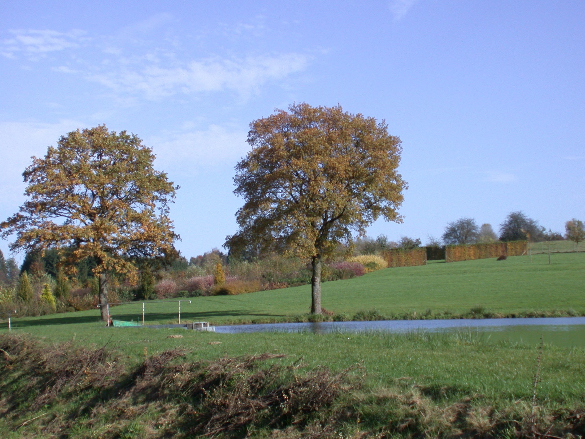 Romantisch 2-persoons vakantiehuis met privétuin in Chassepierre - foto 25