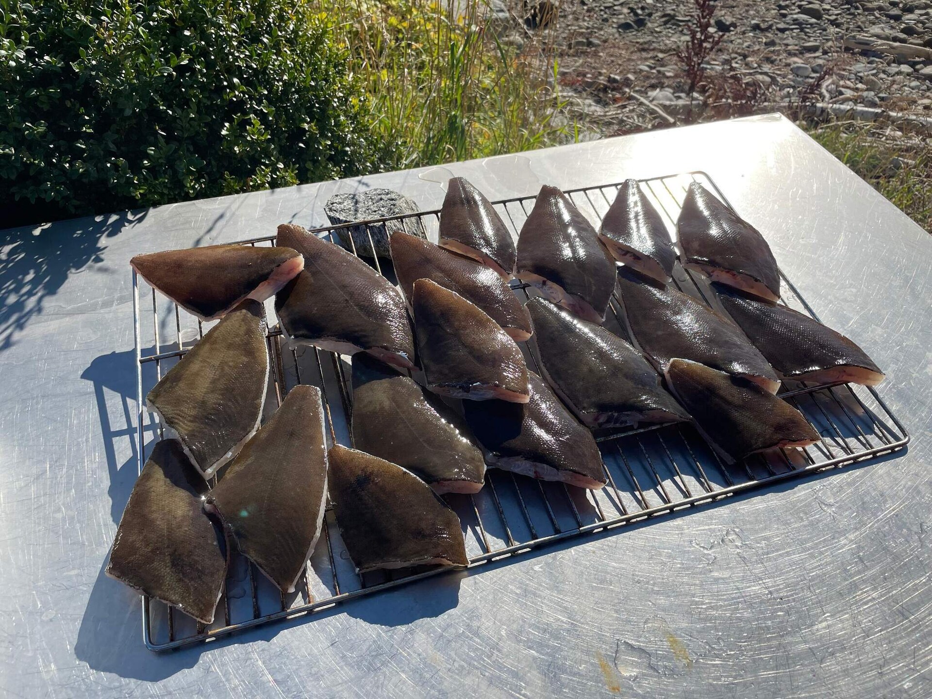 In het centrum van Eidsvåg: Ruim appartement direct aan de fjord - foto 66