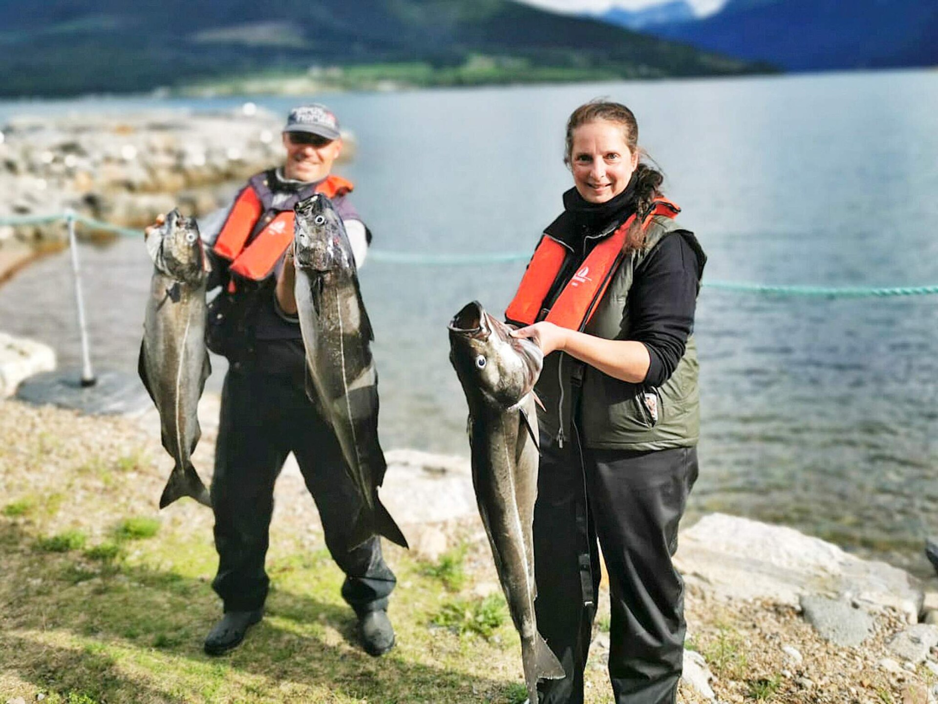 Appartement met fjordzicht, zwembad en vismogelijkheden in Eidsvåg - foto 40