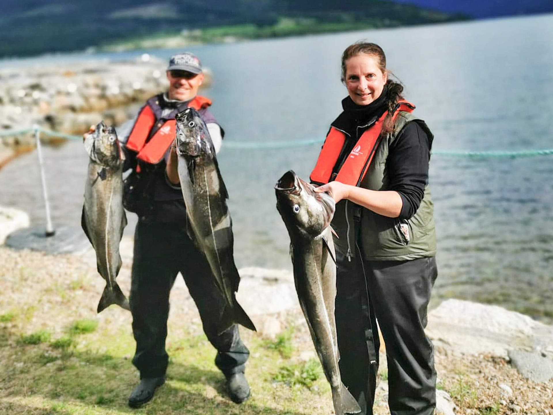 Licht appartement in Eidsvåg aan de fjord met gemeenschappelijk zwembad - foto 41