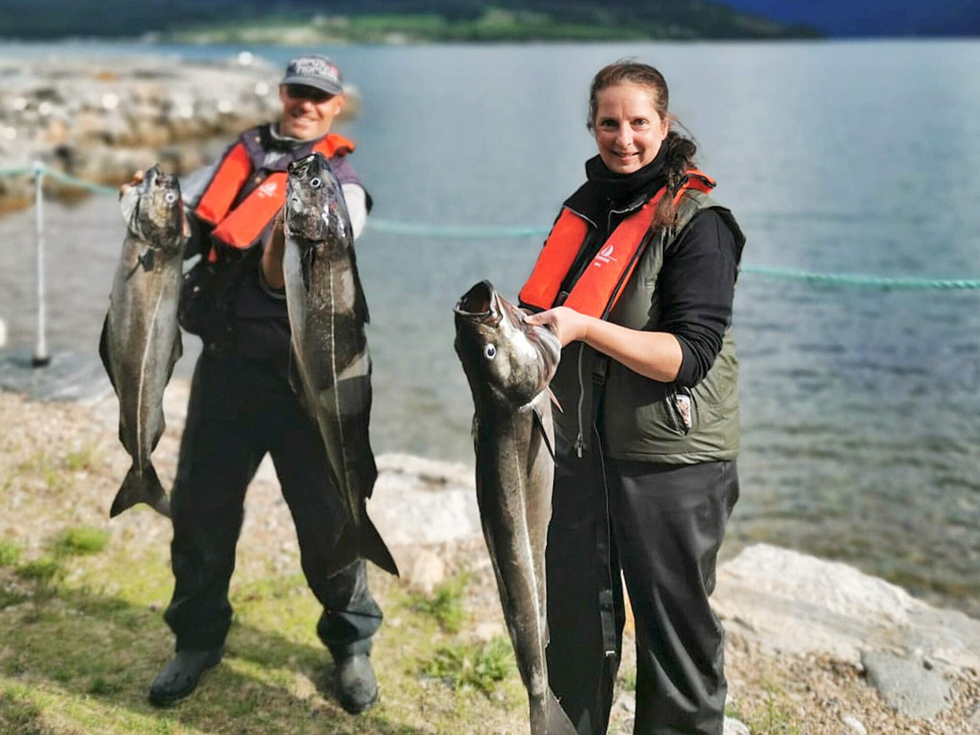 Rustiek fjordappartement met sauna, zwembad & boothaven in Eidsvåg - foto 39
