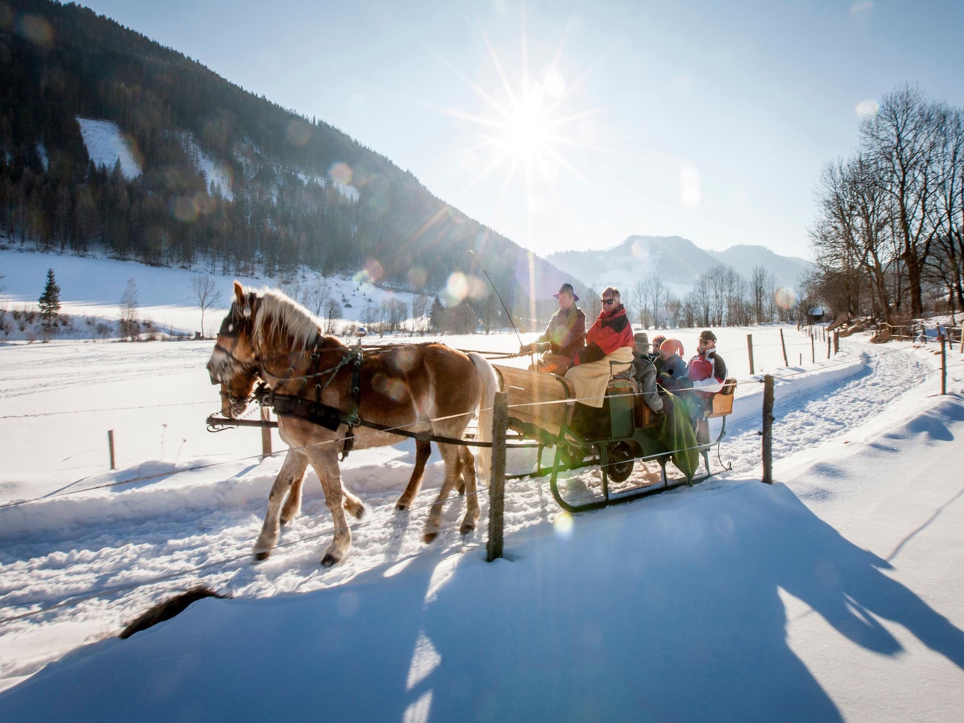 Aan de piste: Ruim chalet voor 8 personen in Murau - foto 39
