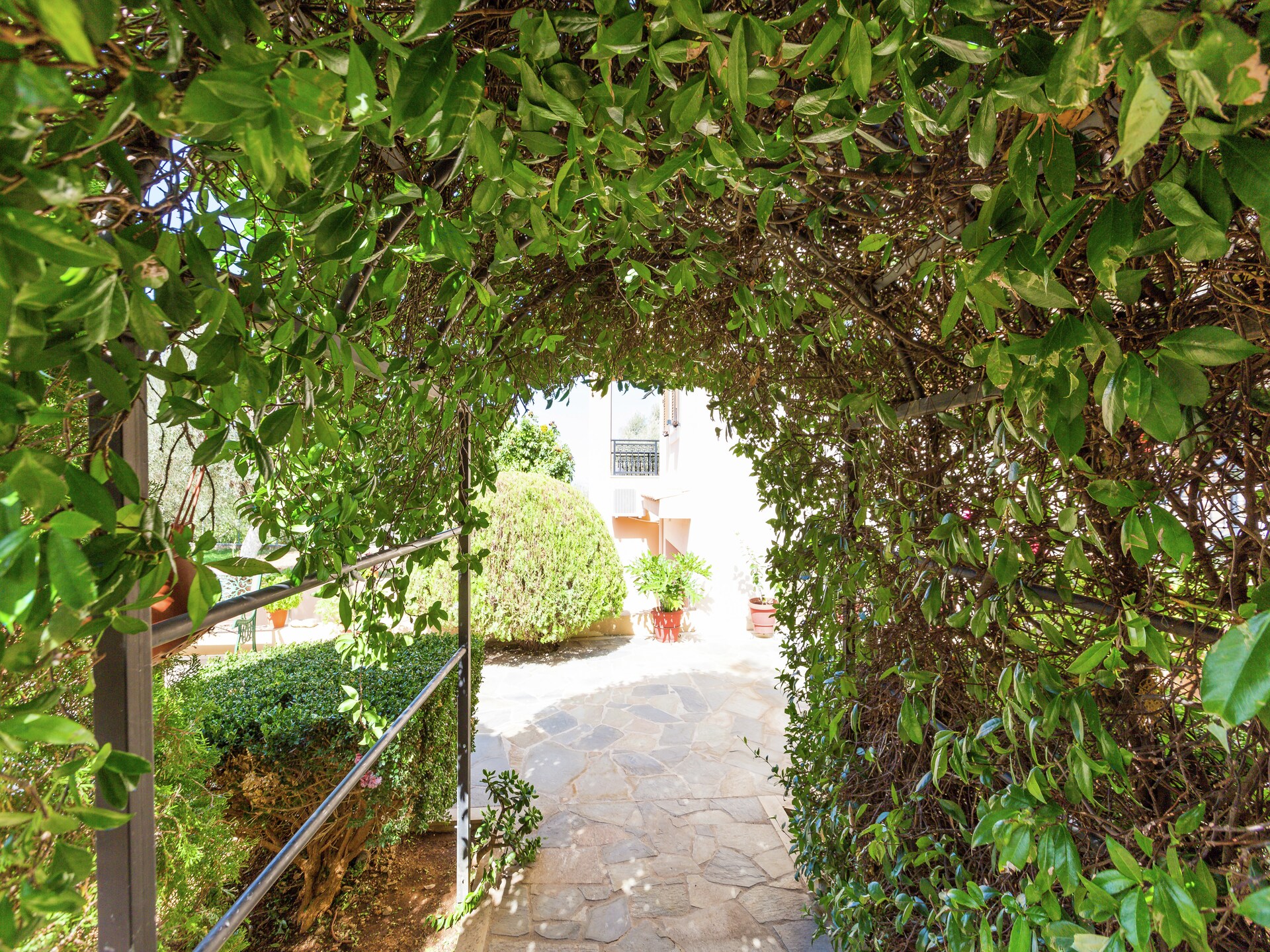 Wijn-thema appartement in olijfgaard bij Prines, vlakbij Rethymnon - foto 25
