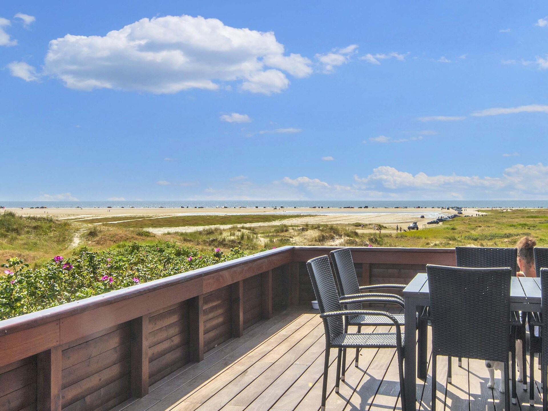 Knus appartement op 50 meter van de zee op het Deense waddeneiland Fanø - foto 23