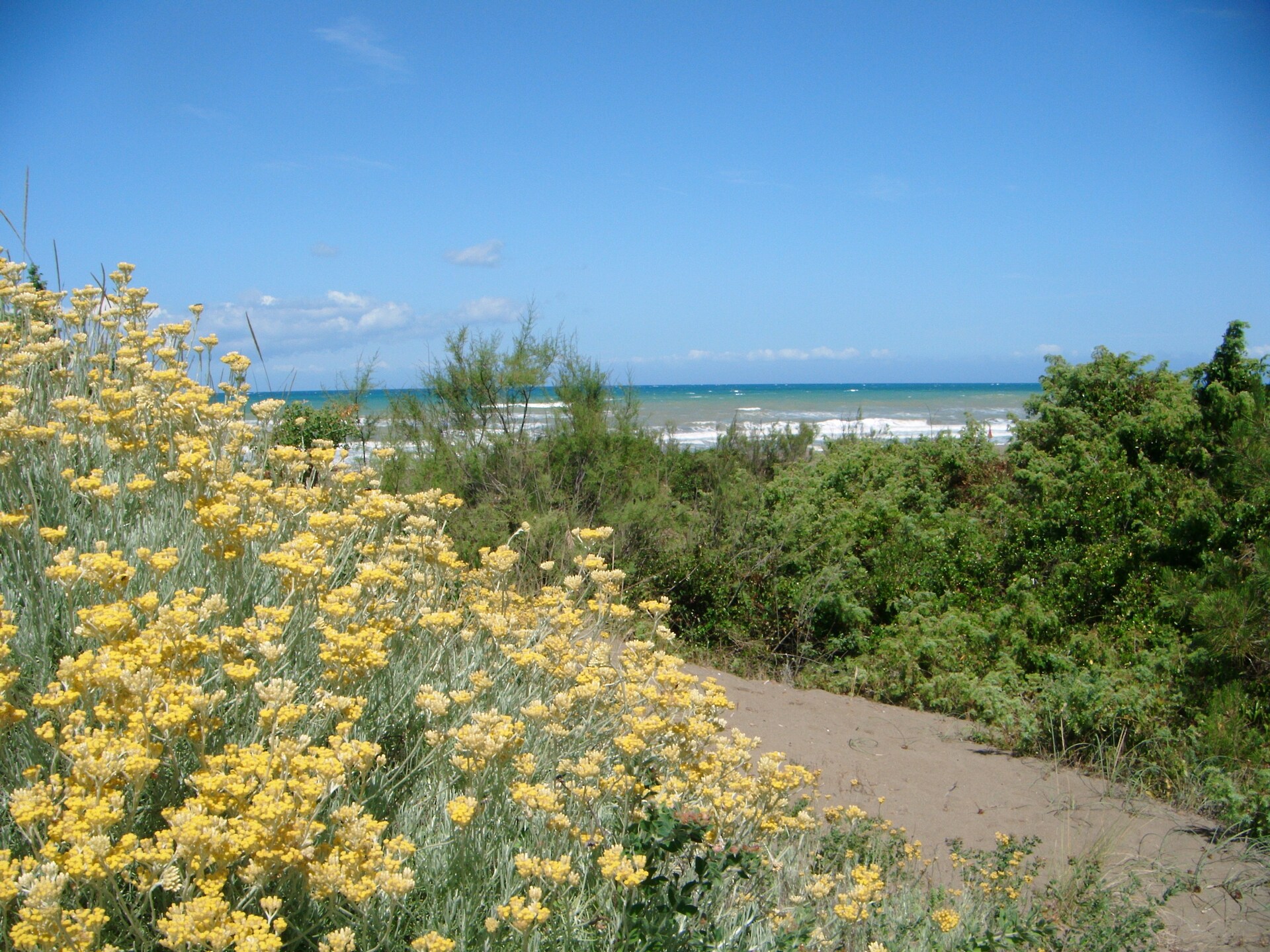 Op 300 m van het strand: ruim vakantiehuis in Castagneto Carducci - foto 32