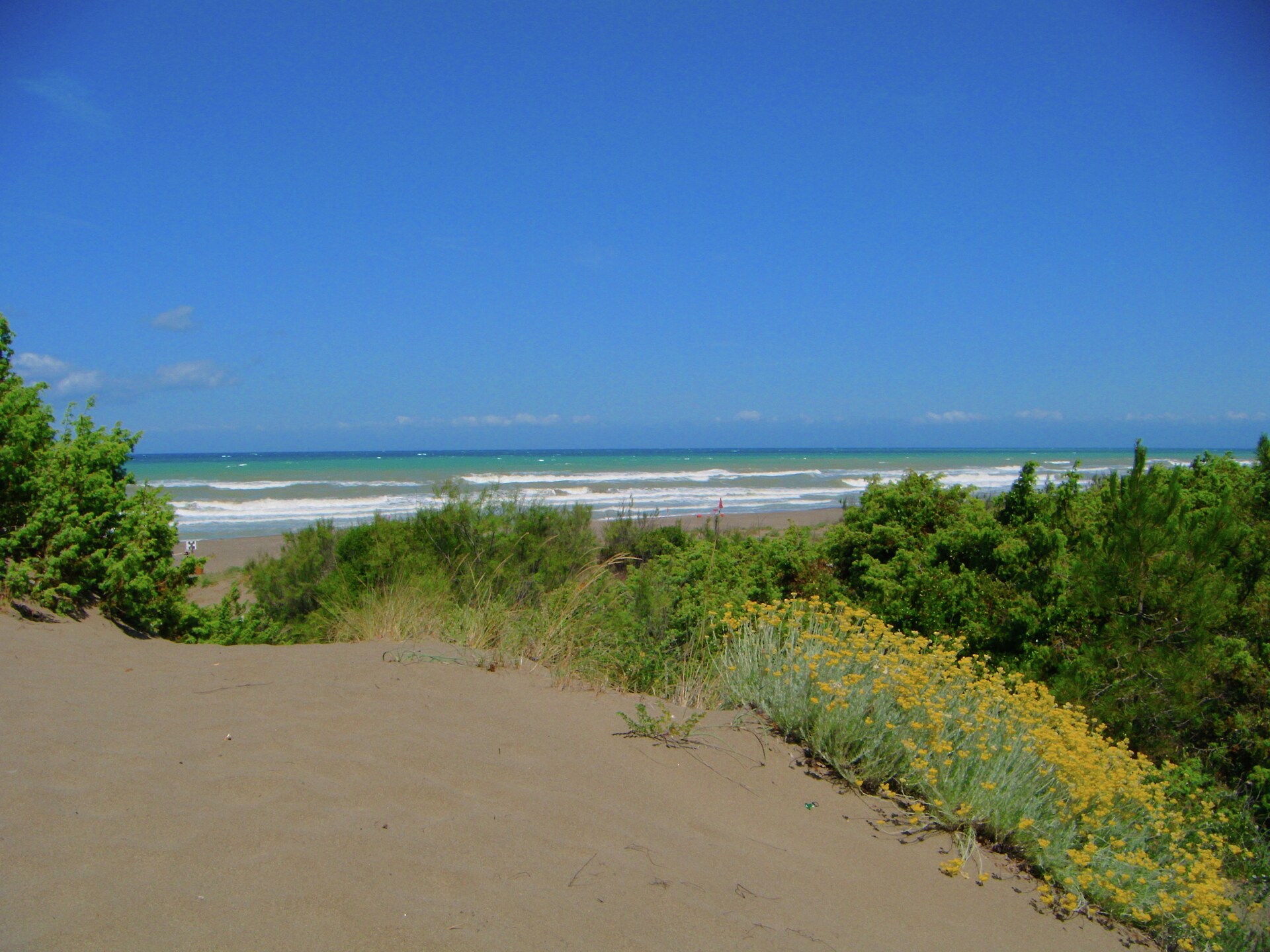 Op 300 m van het strand: ruim vakantiehuis in Castagneto Carducci - foto 33
