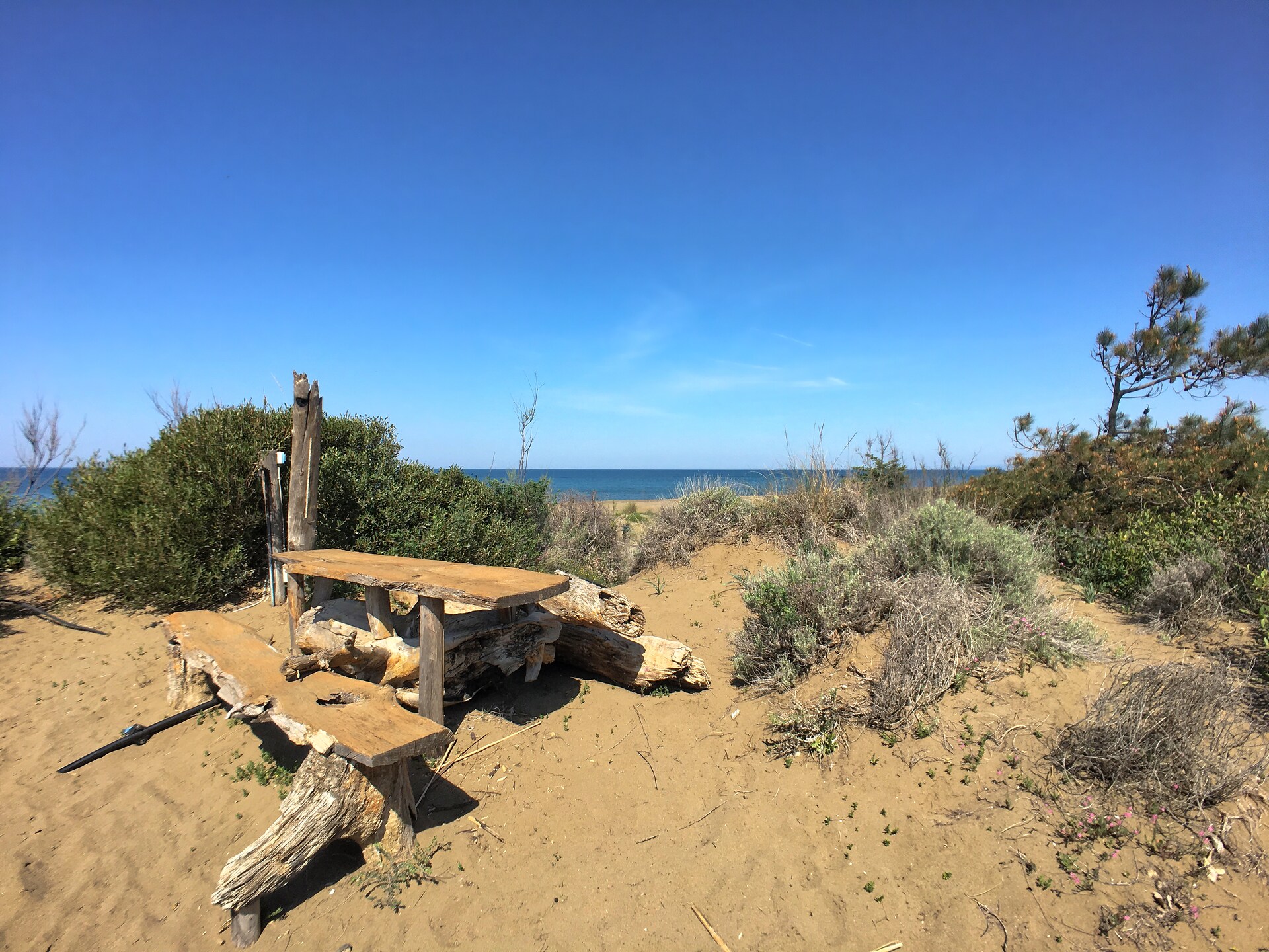 Op 300 m van het strand: ruim vakantiehuis in Castagneto Carducci - foto 28