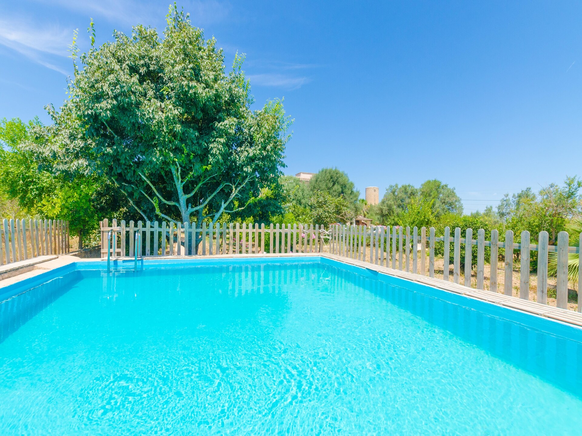 Landelijke villa met privézwembad en fruitgaard in Porreres - foto 4