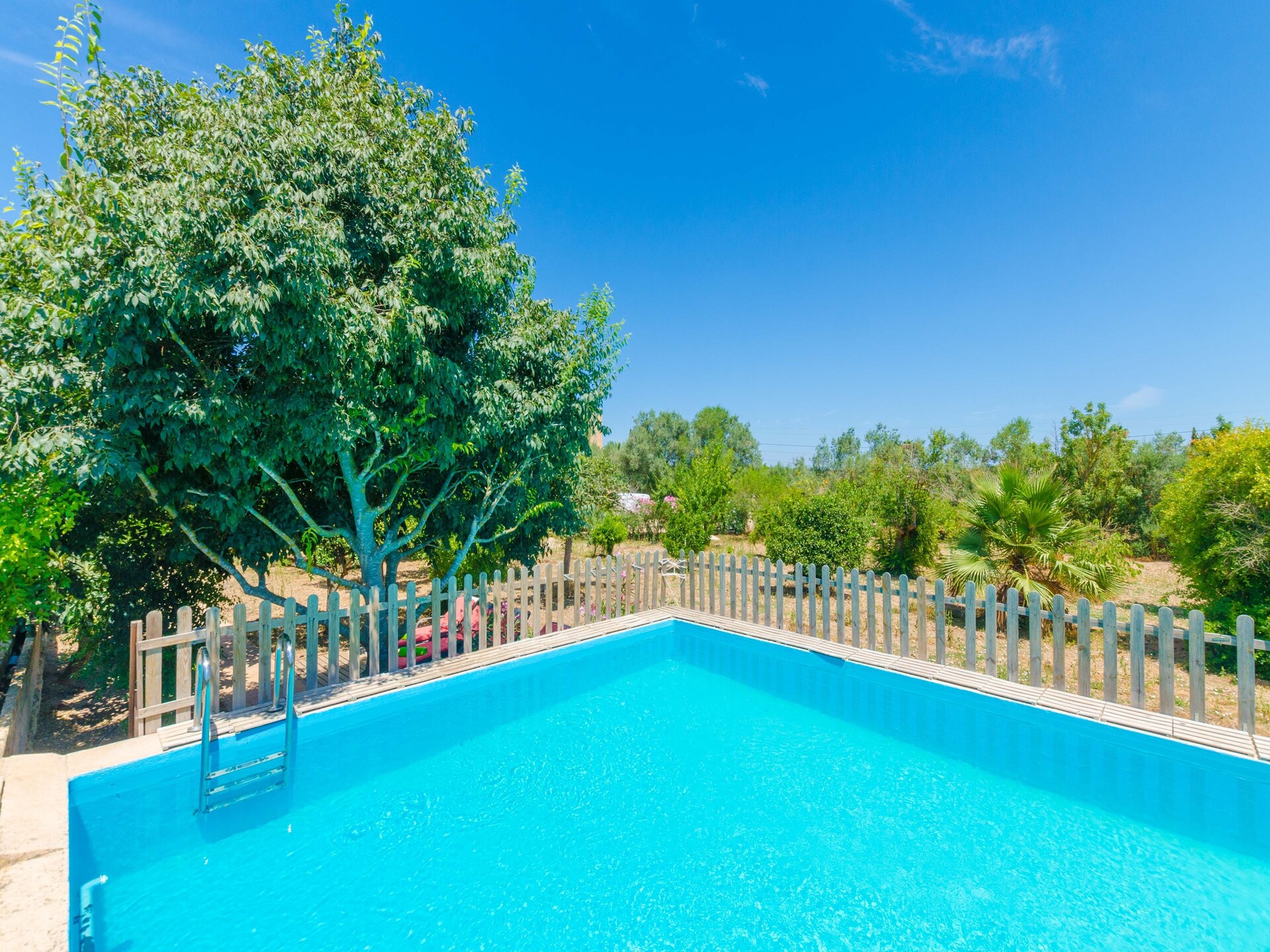 Landelijke villa met privézwembad en fruitgaard in Porreres - foto 7