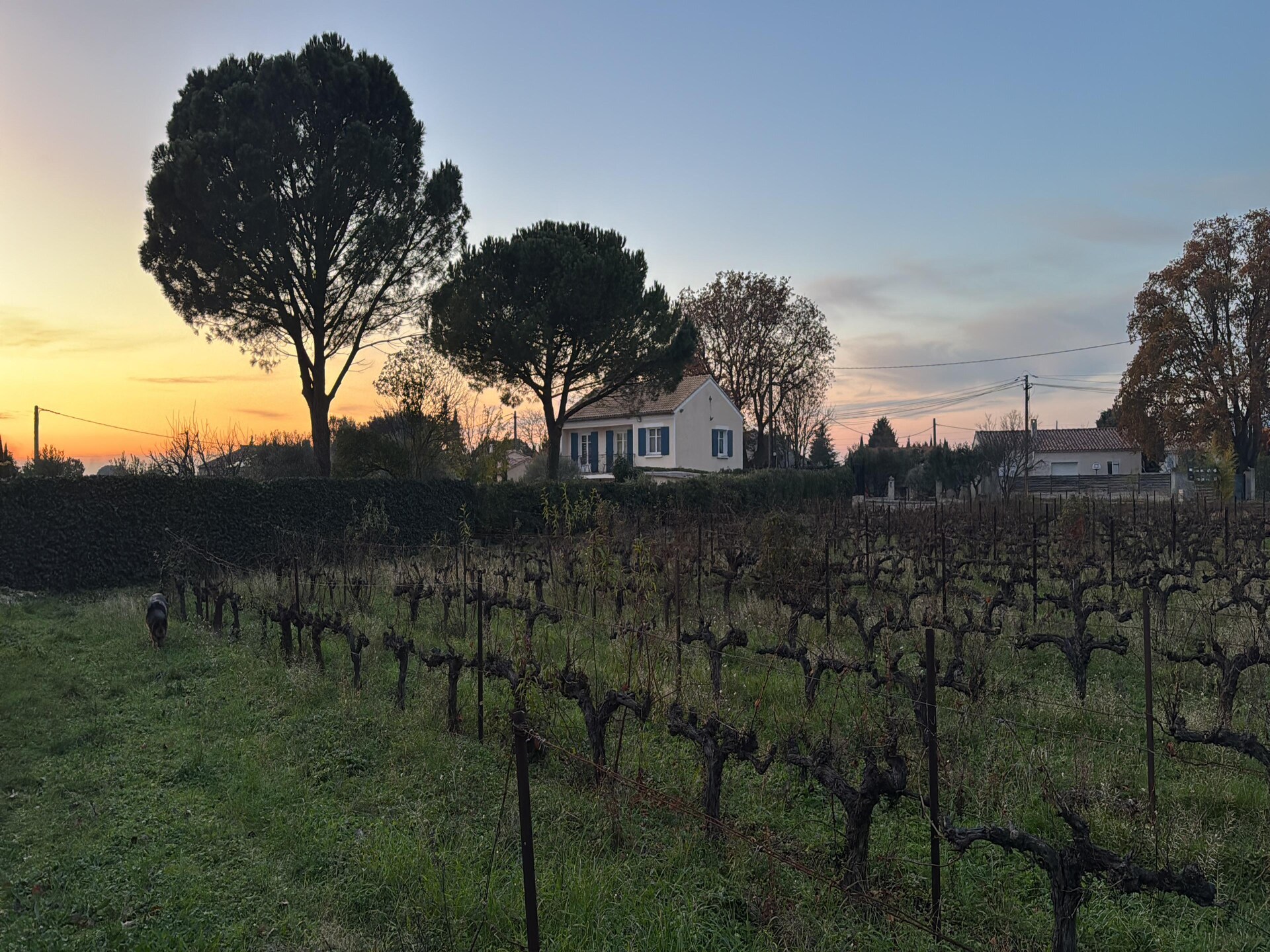 Moderne villa met groot zwembad en jeu-de-boulesbaan in Carpentras - foto 30