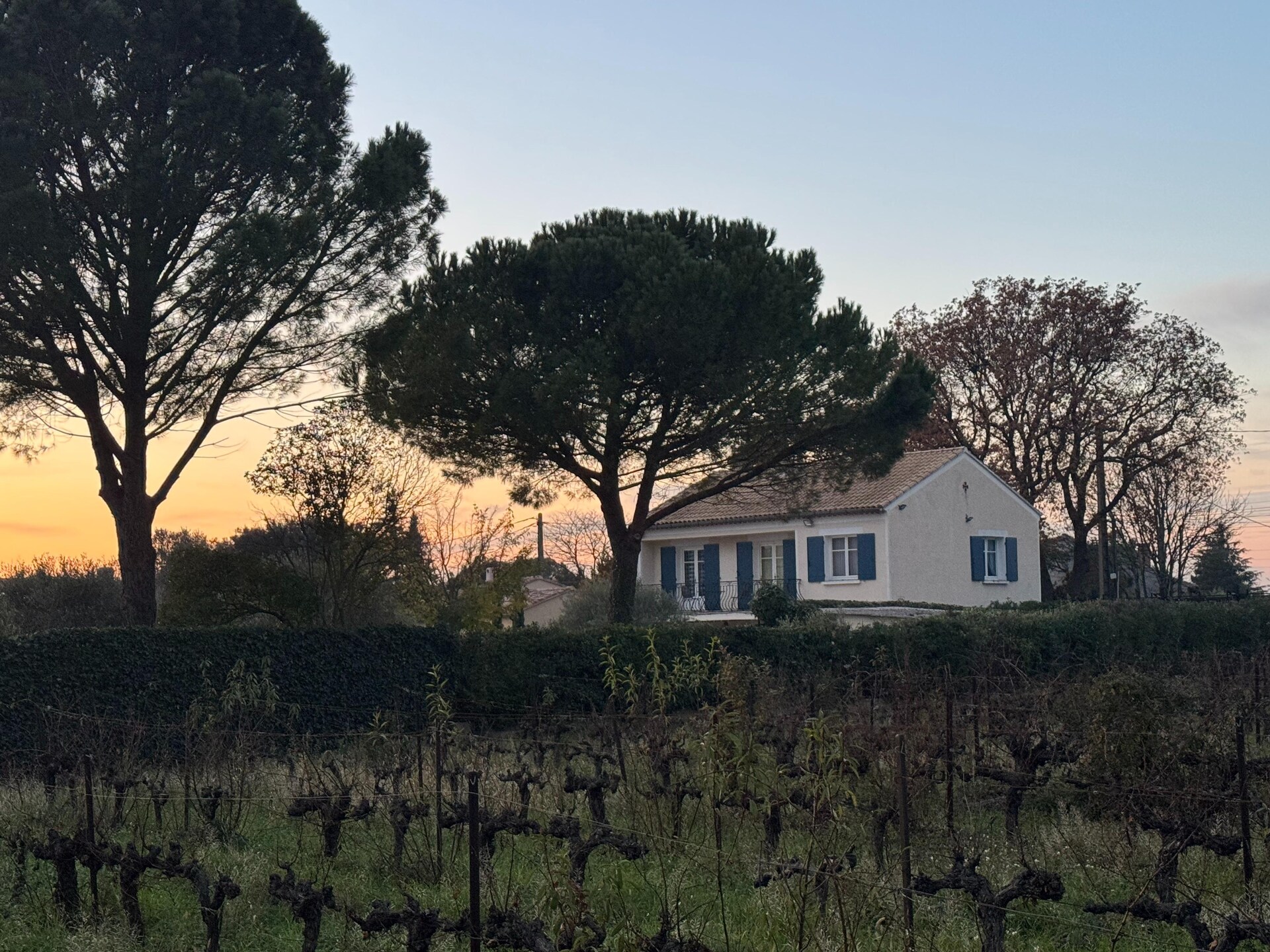 Moderne villa met groot zwembad en jeu-de-boulesbaan in Carpentras - foto 31