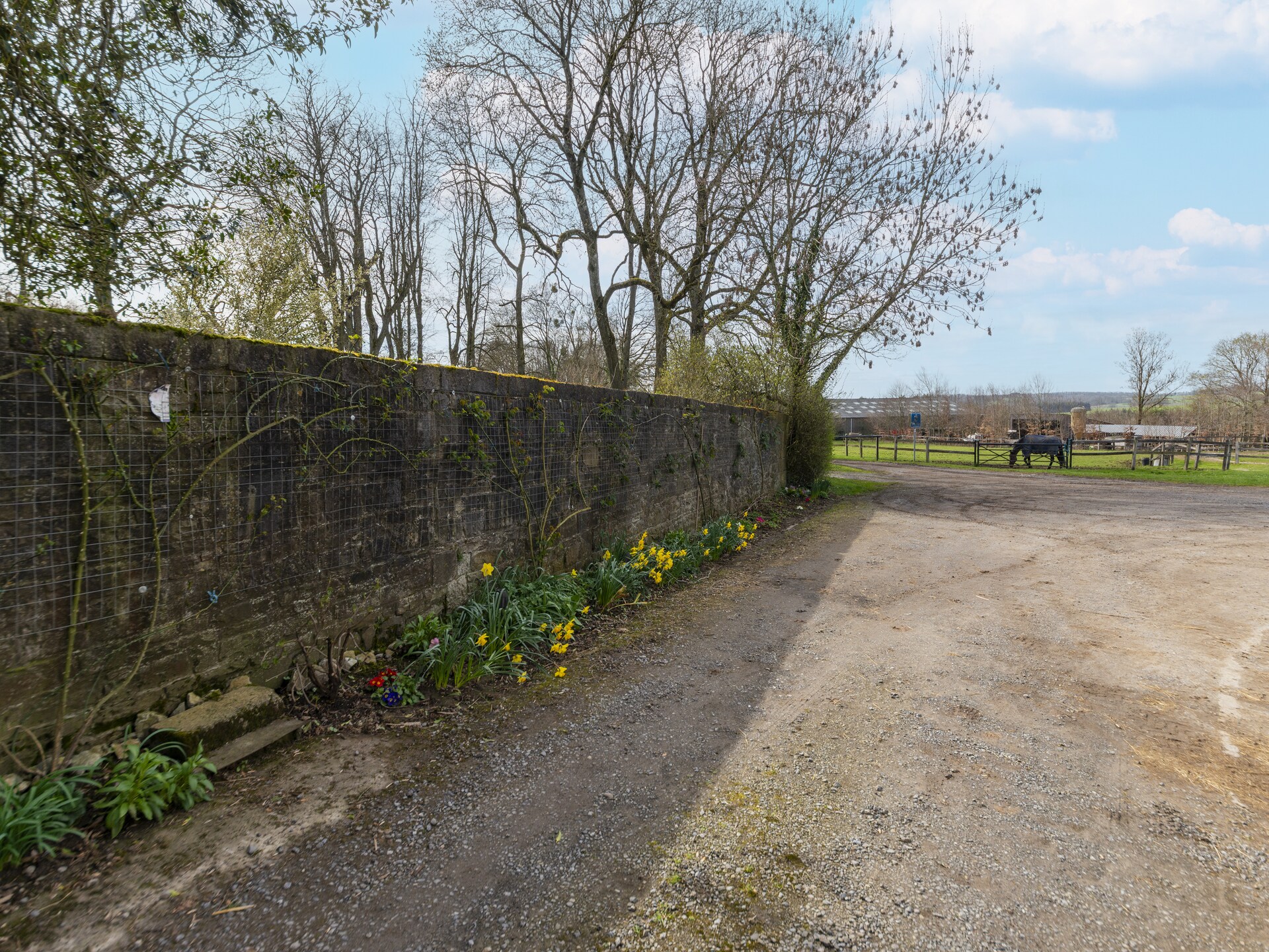 Authentieke boerderij La Cour de Himbe in Ouffet voor 7 personen - foto 40