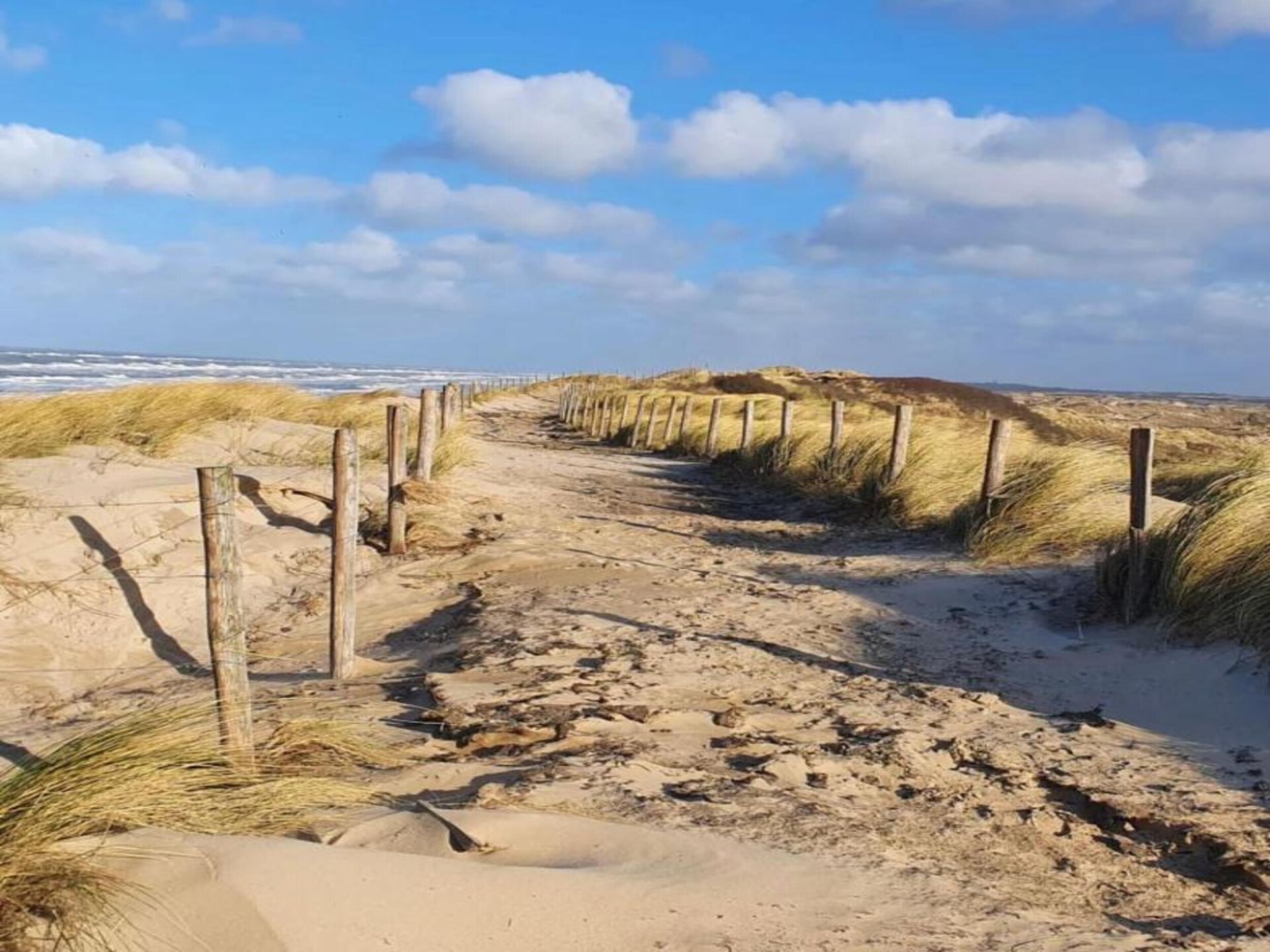 Romantisch Heiloo: intiem vakantiehuis voor 2 in bosrijke omgeving - foto 38