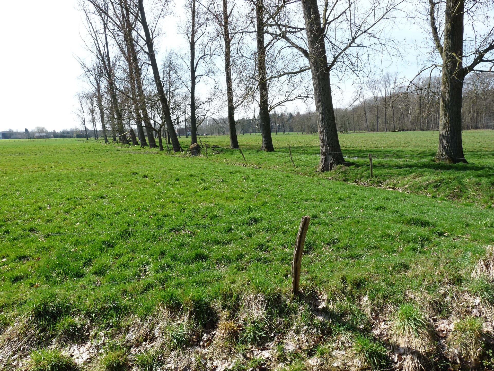 Ruim vakantiehuis voor 8 in het bos bij Maria-Aalter, 30 km van zee - foto 35